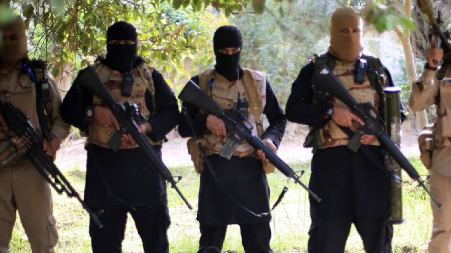 الصورة أرشيفية