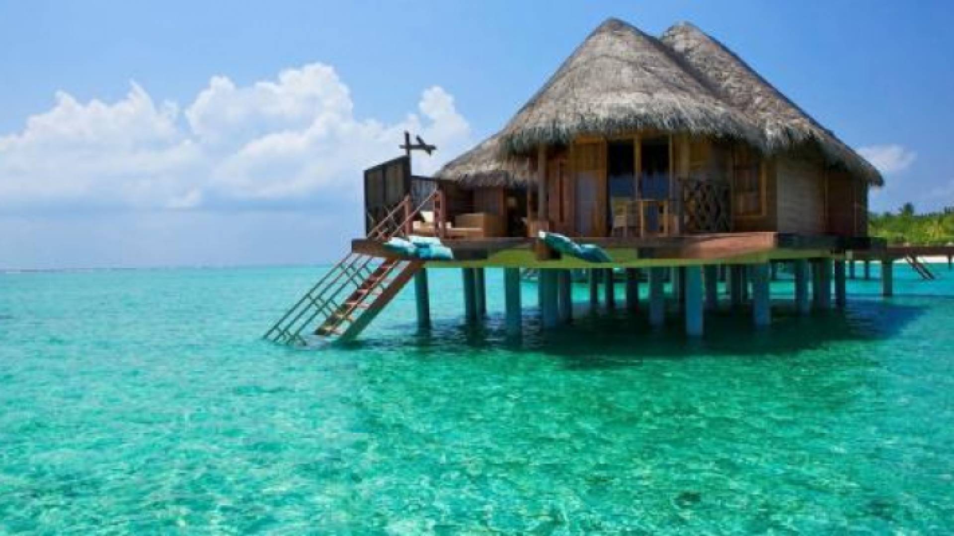 ناشدت العائلة بترتيب عودة جثمان ابنها المرحوم