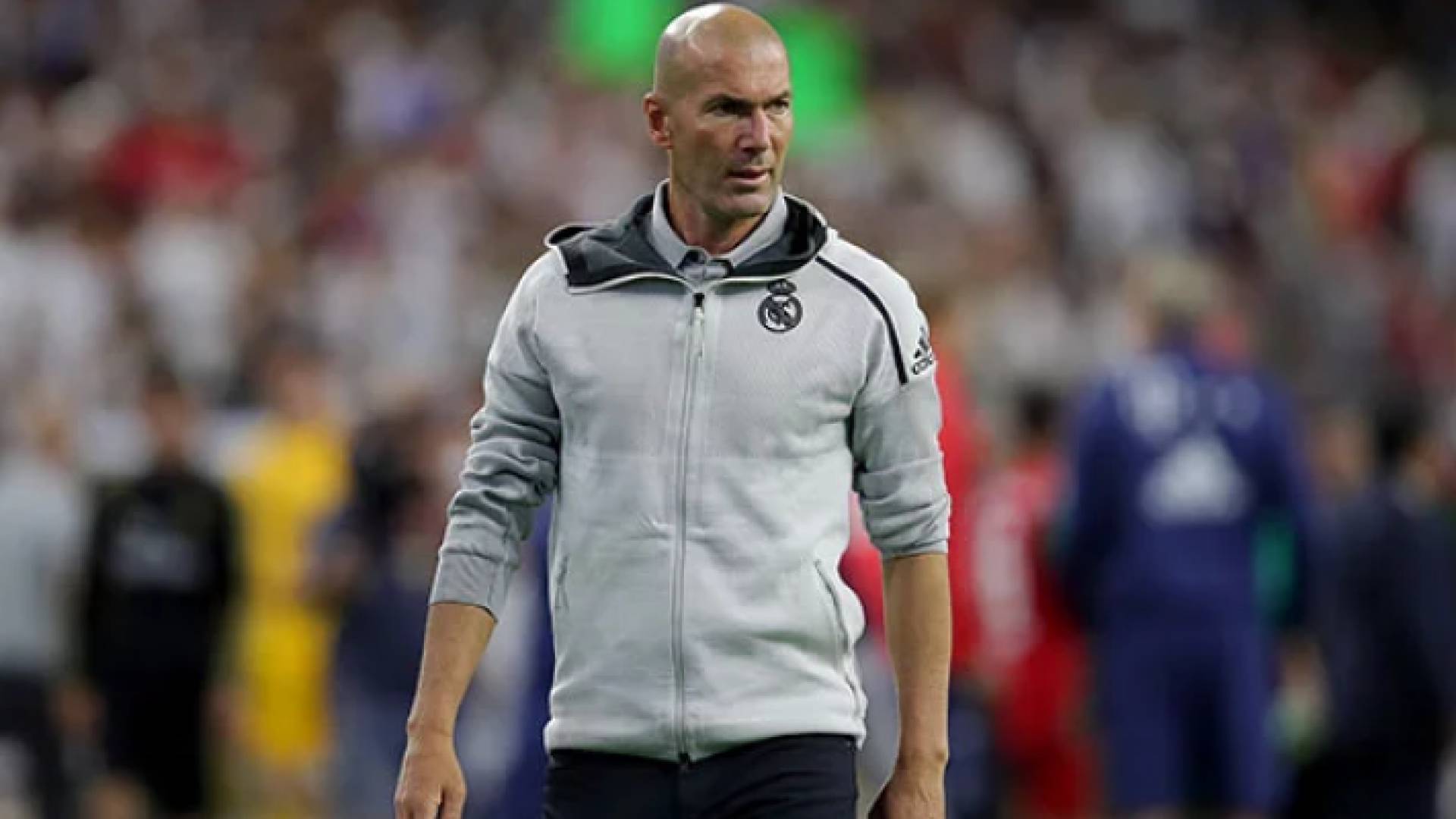 زيد الدين زيدان