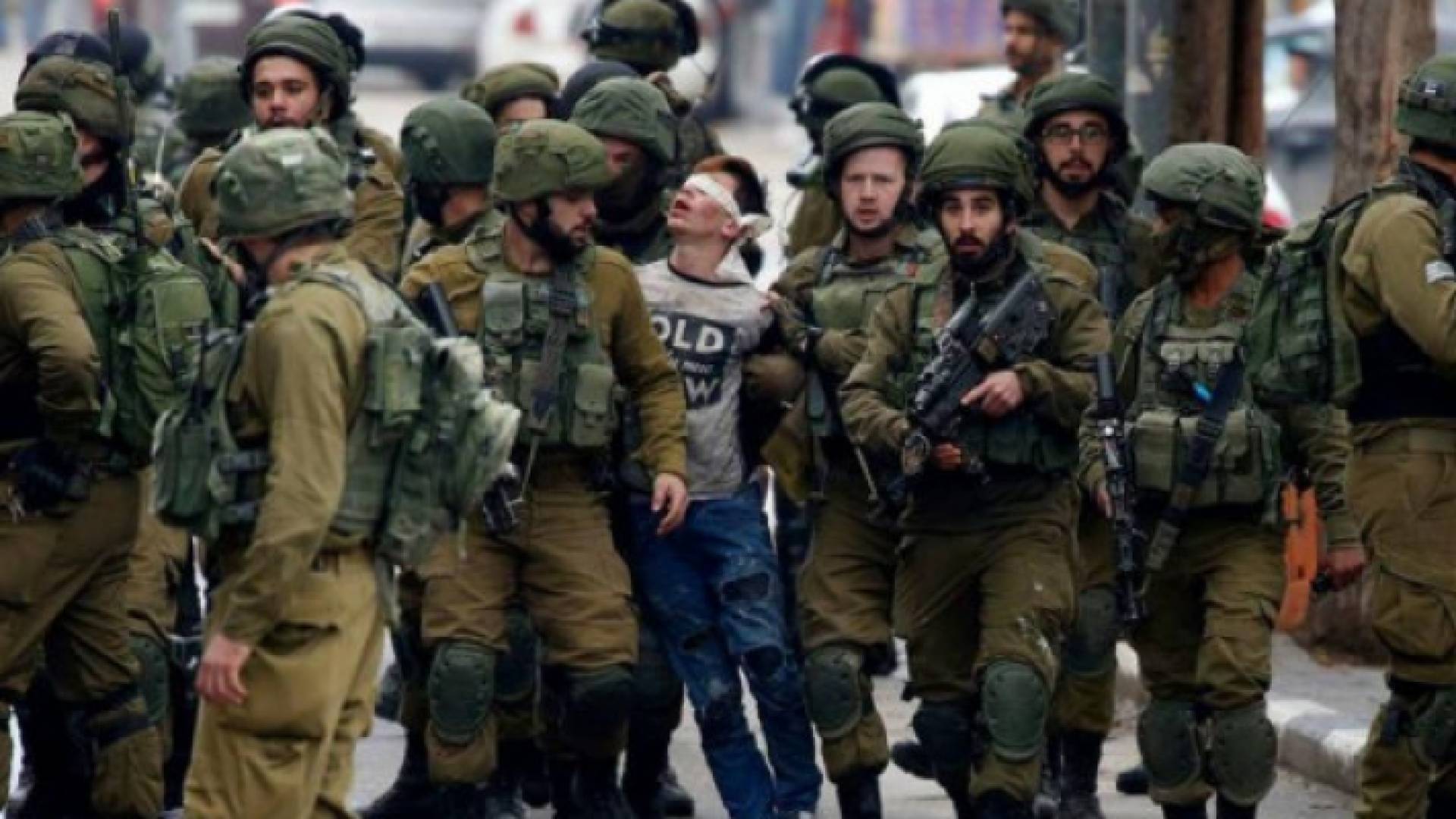 من بين المعتقلين طفل يبلغ من العمر 12 عاما