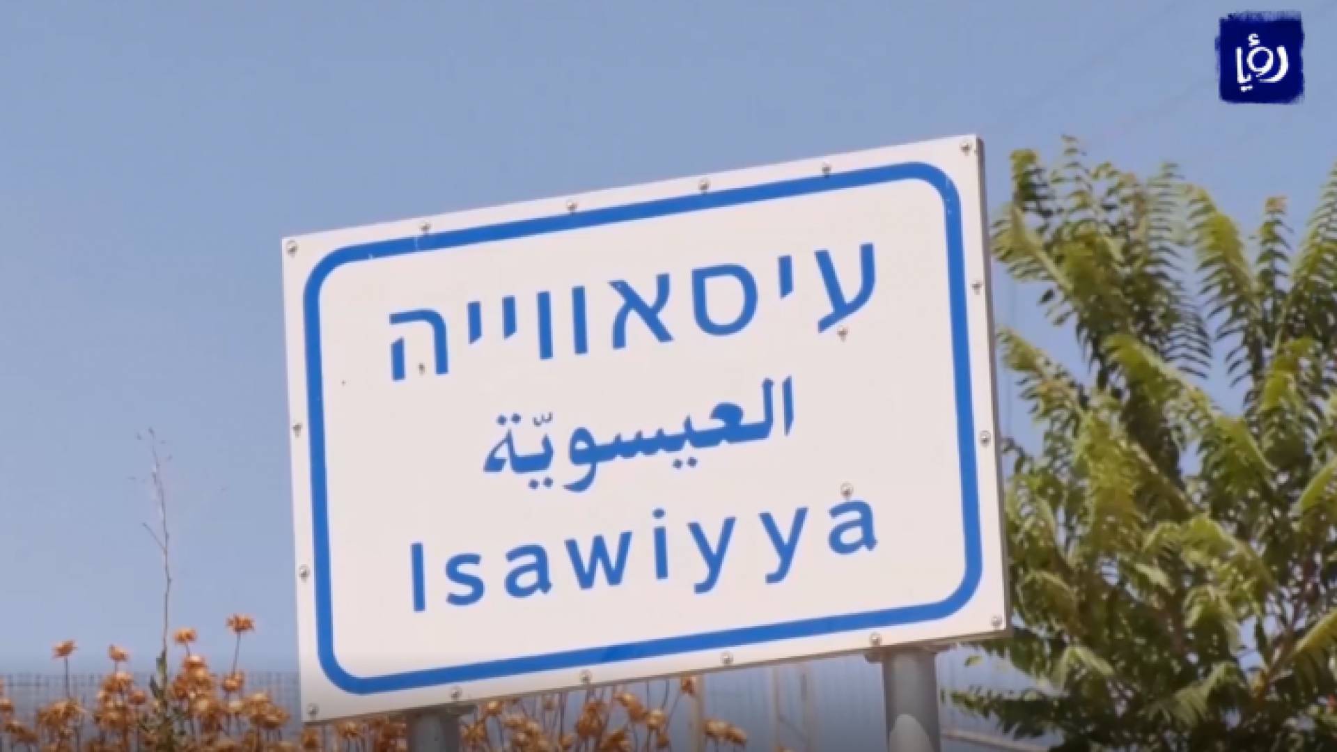 صورة من الفيديو