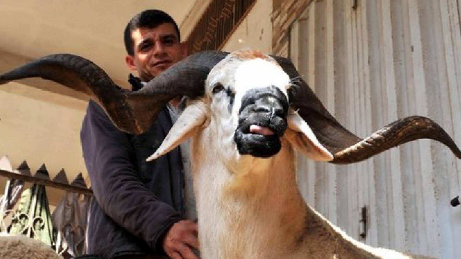 الصورة أرشيفية