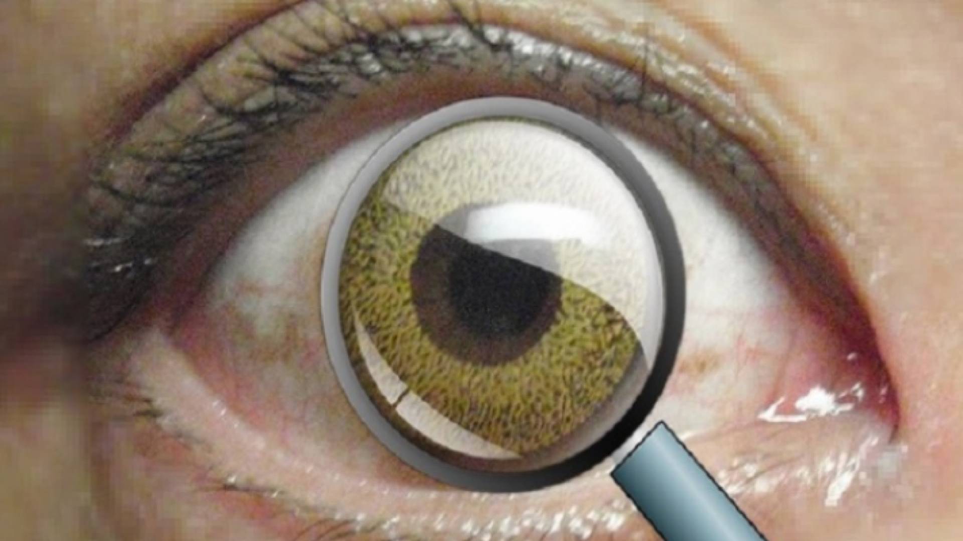 عدسات لاصقة جديدة تجعل الـ"زووم" ممكنا بالعين البشرية