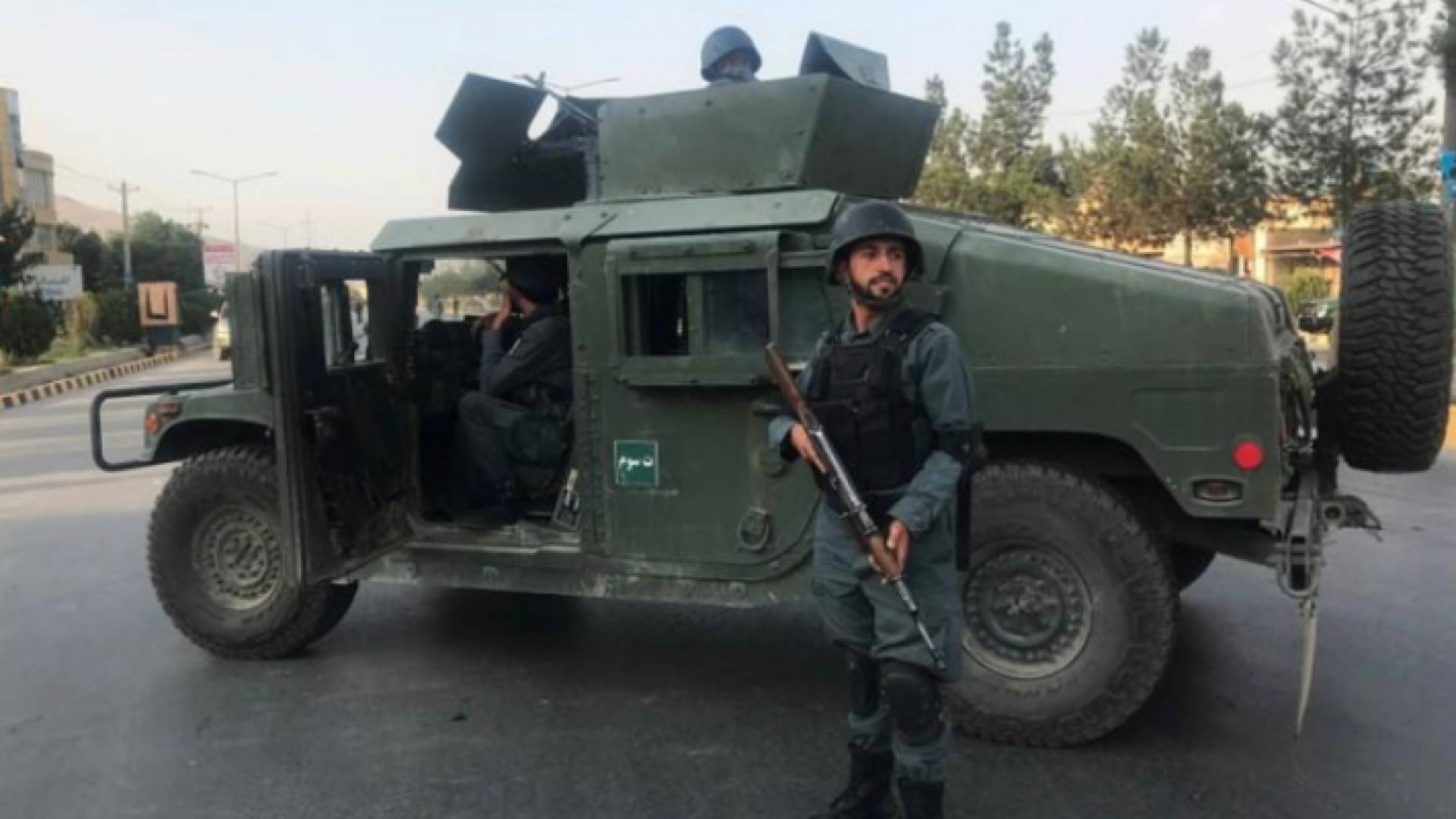 ارشيفية
