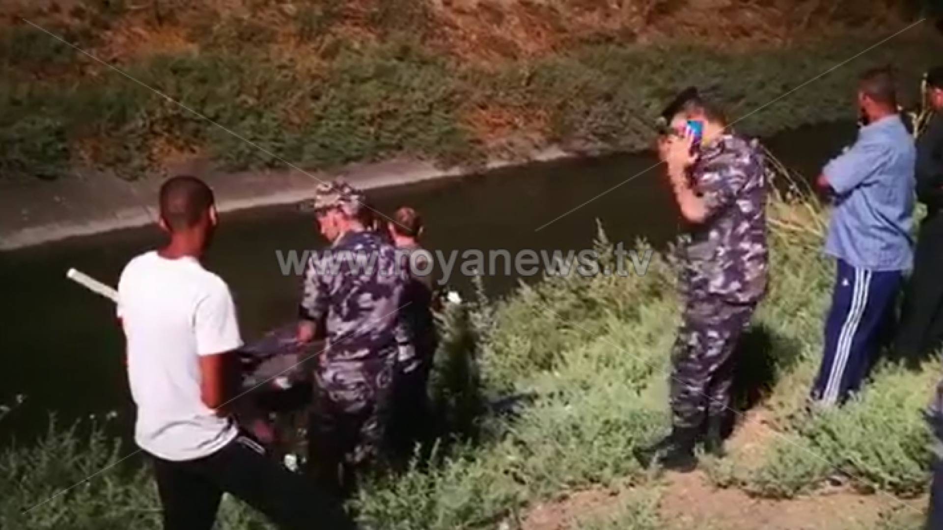 من عمليات البحث