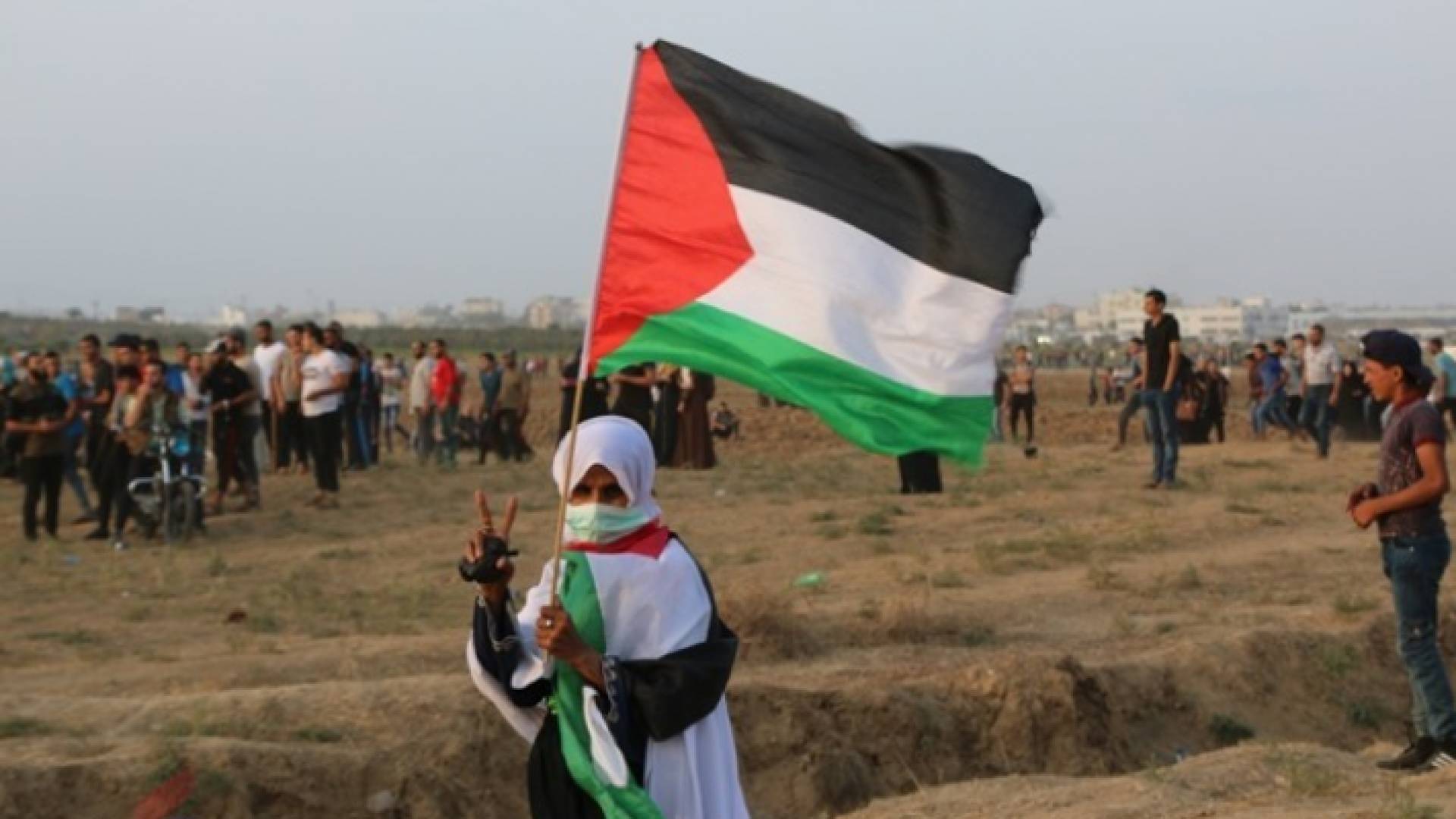 الصورة أرشيفية