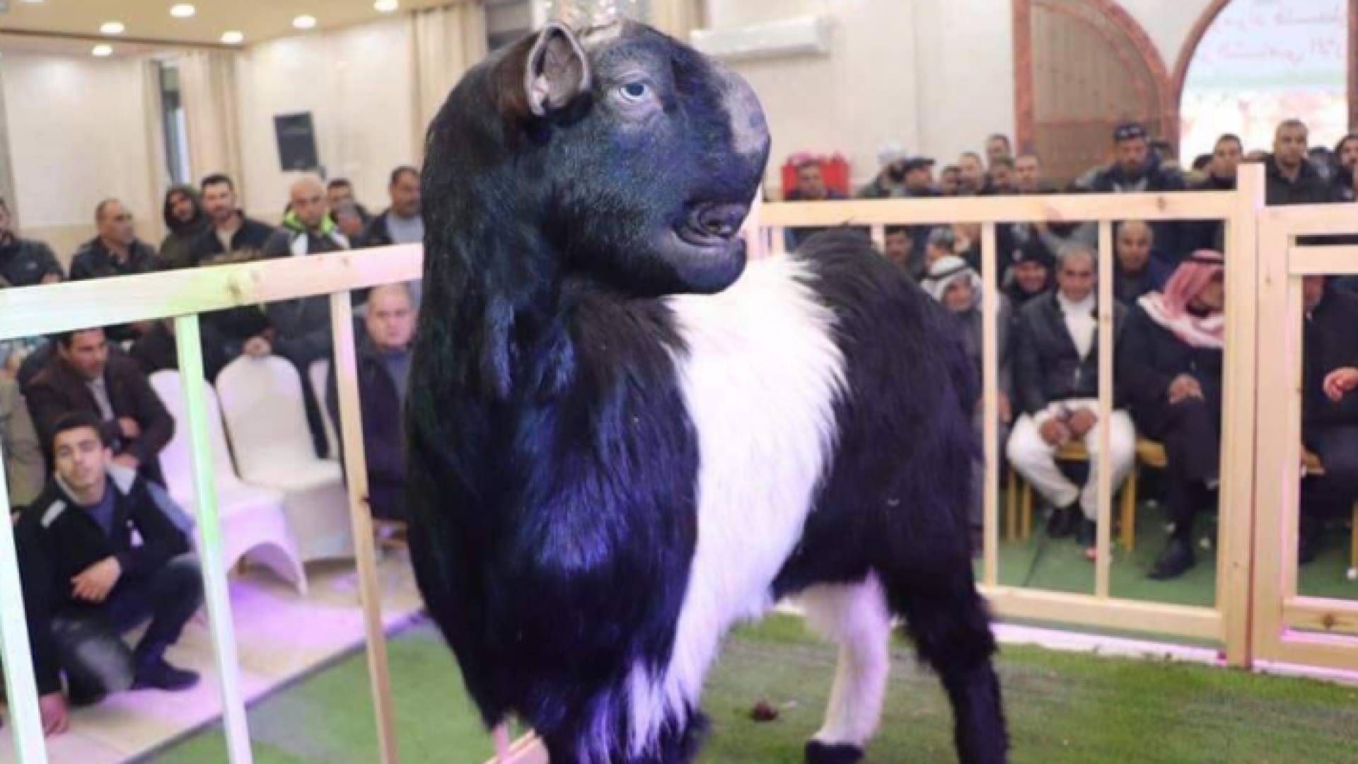 الصورة أرشيفية