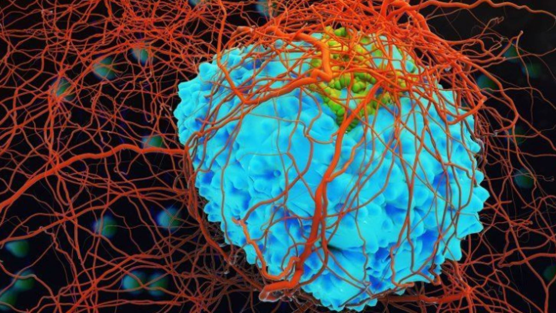 يمكن أن يقود الأمر نحو علاج سرطاني الثدي والمبيض