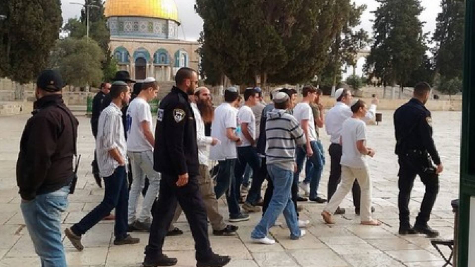 الصورة أرشيفية