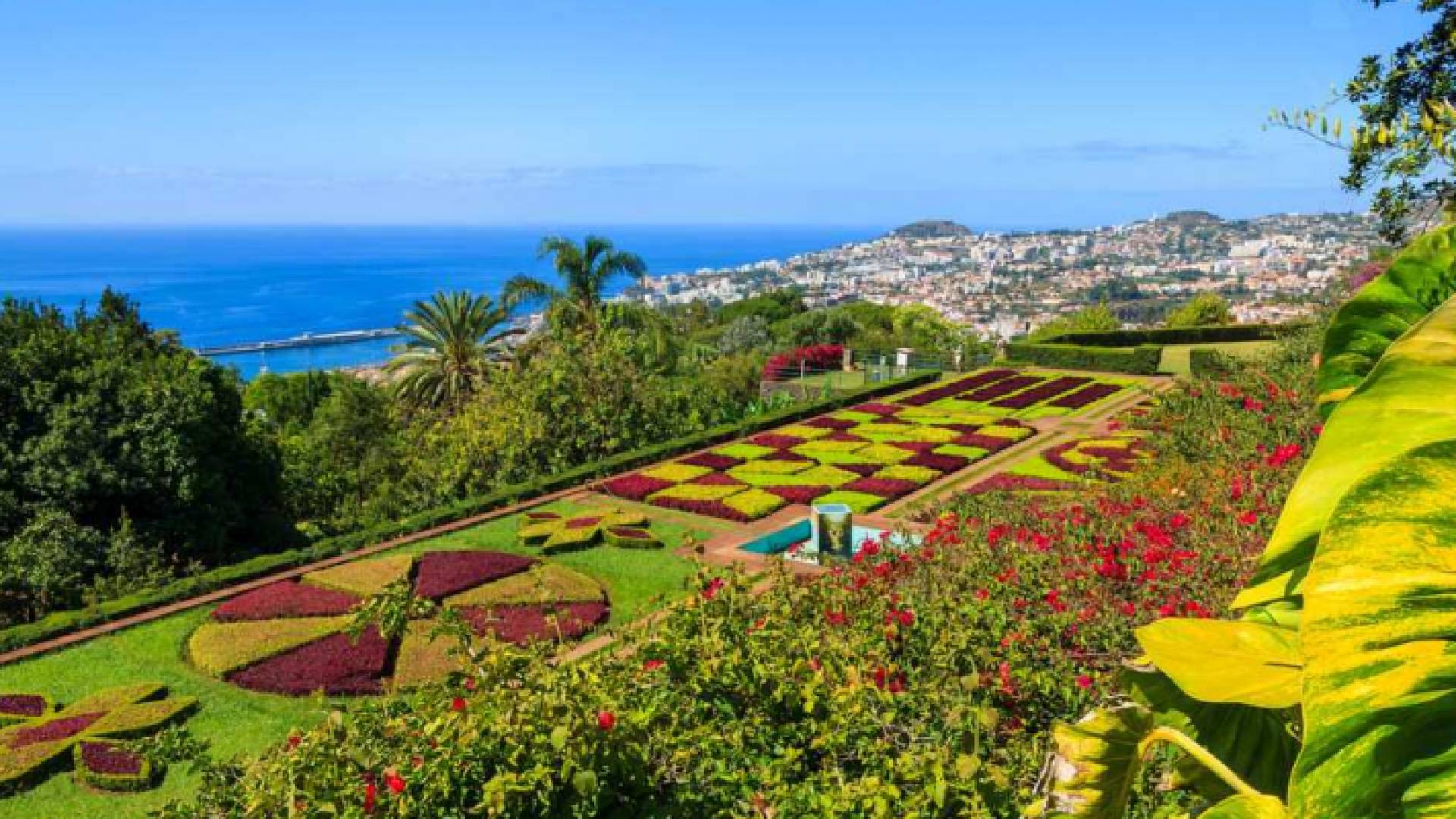 قطاع السياحة والضيافة من أكثر القطاعات التي تحتاج إلى عمالة أجنبية