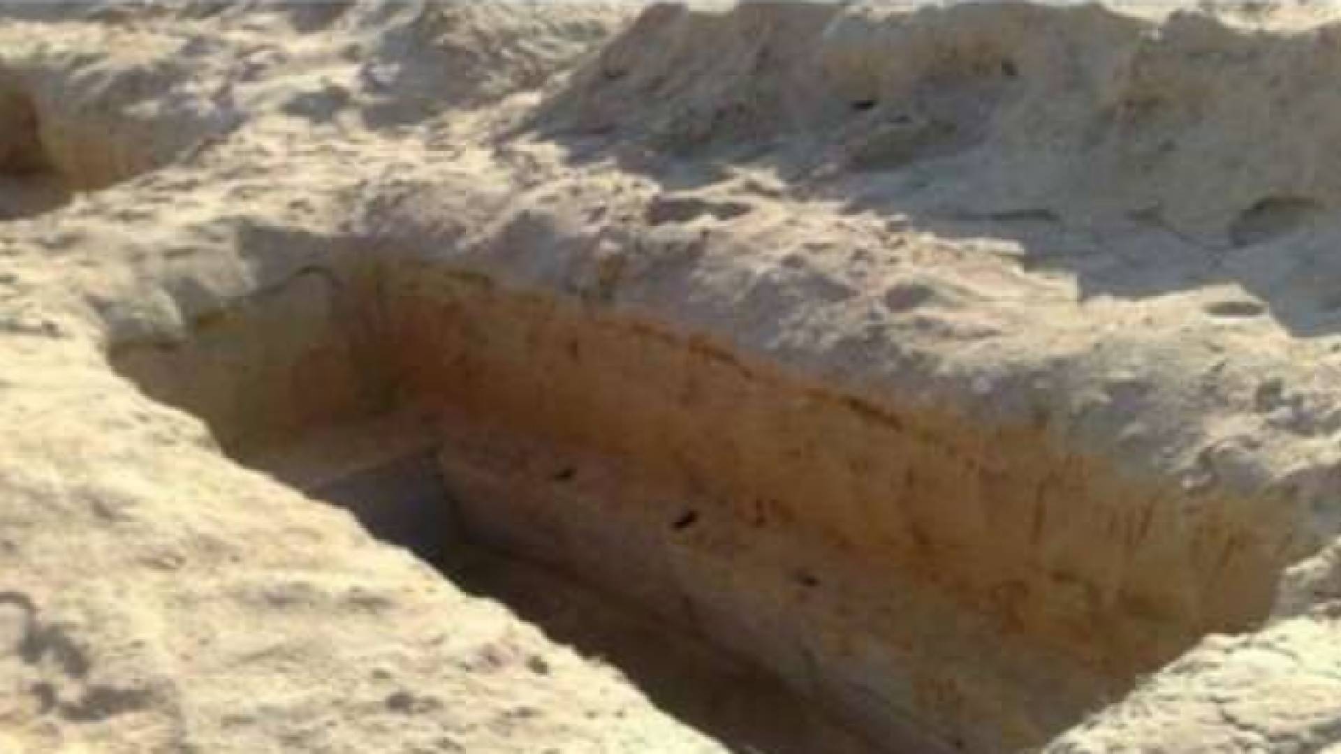 المجلس اعتبر عمان باتت اليوم ورشة عمل كبيرة للنهوض بملف النقل العام