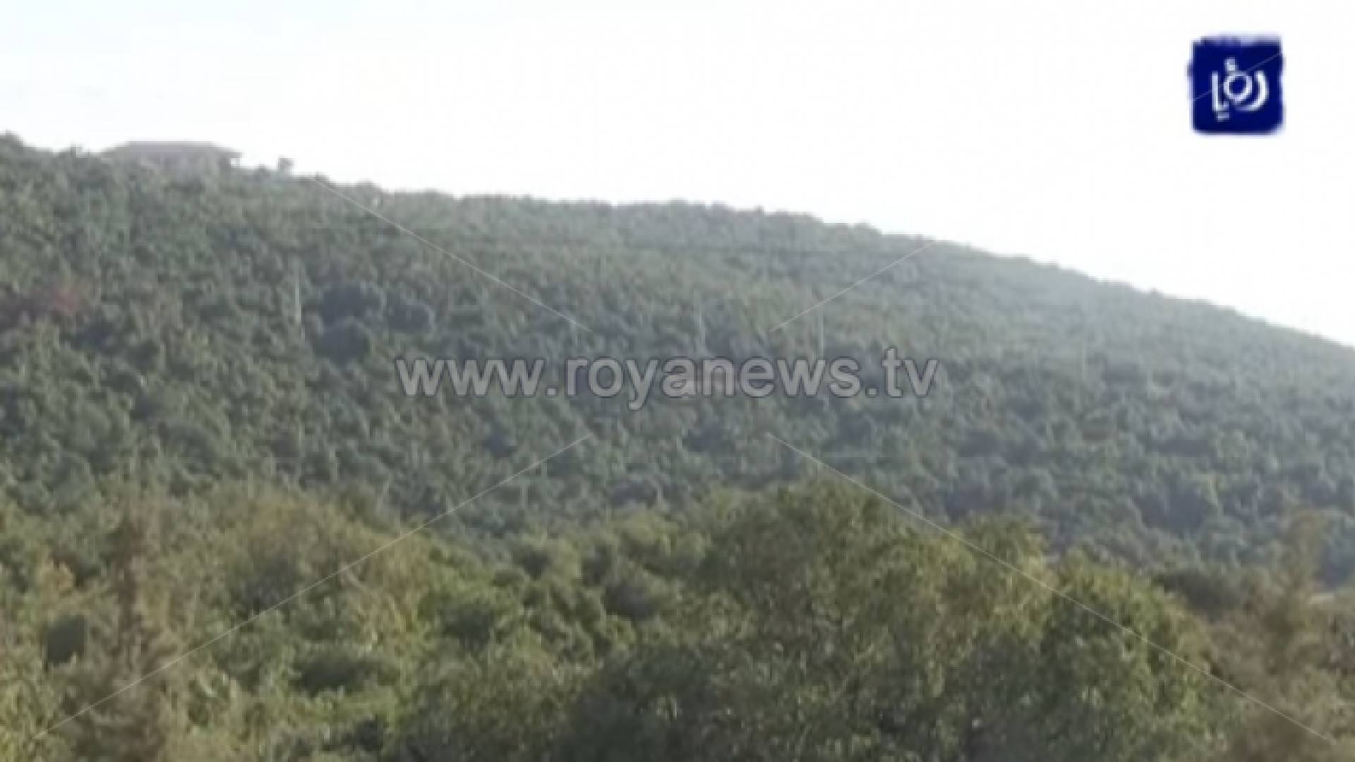 غابات عجلون