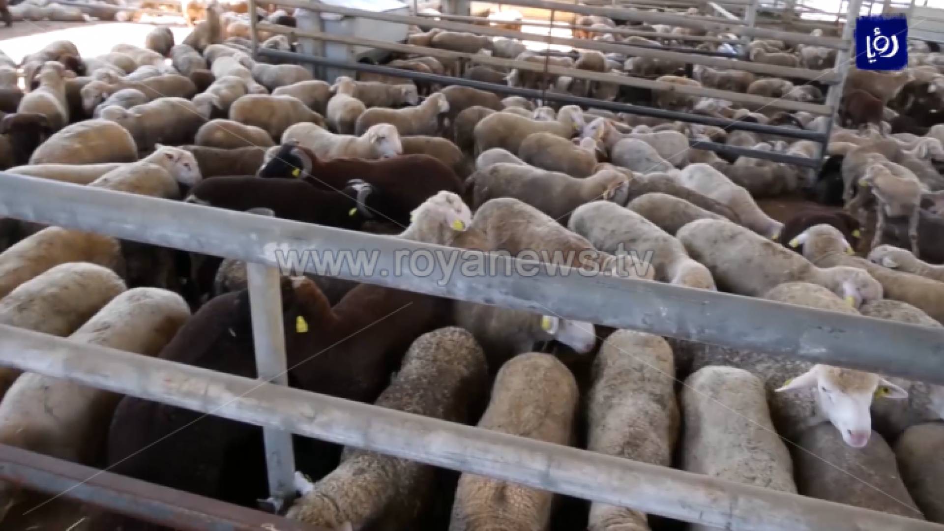 الصورة من الفيديو