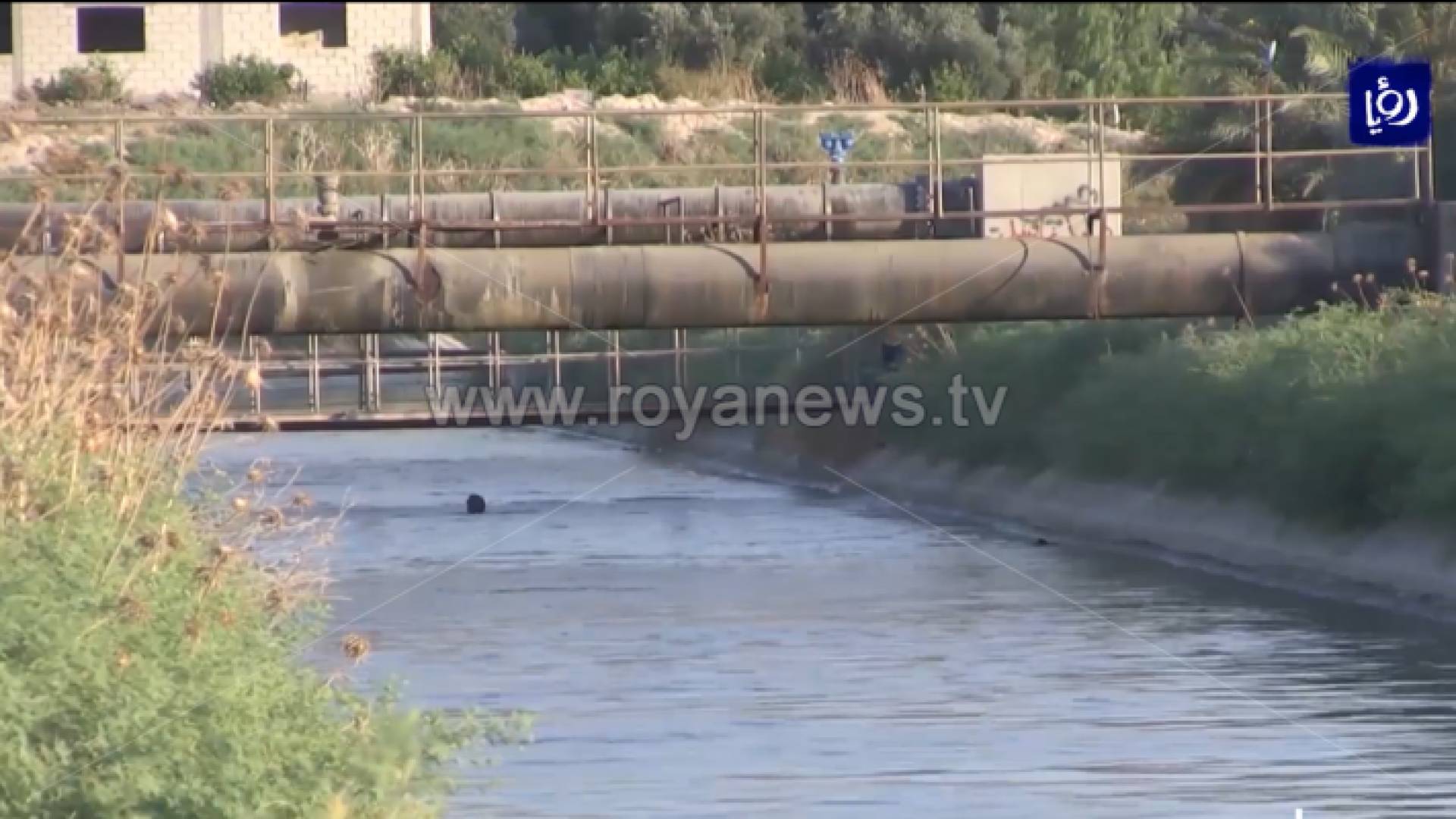 الصورة من الفيديو