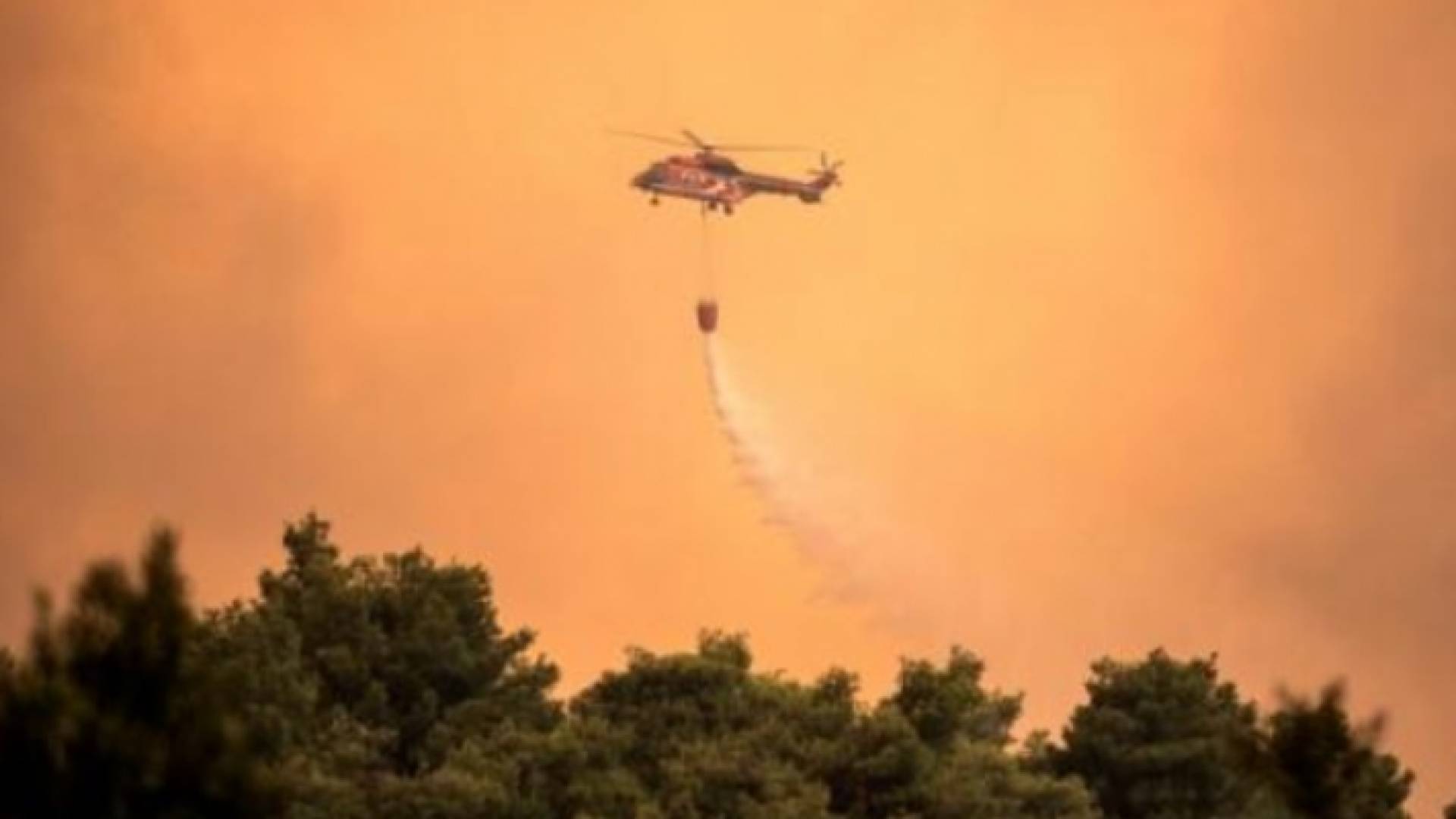 الحرائق تستعر في جزيرة إيفيا اليونانية تؤججها الرياح العنيفة