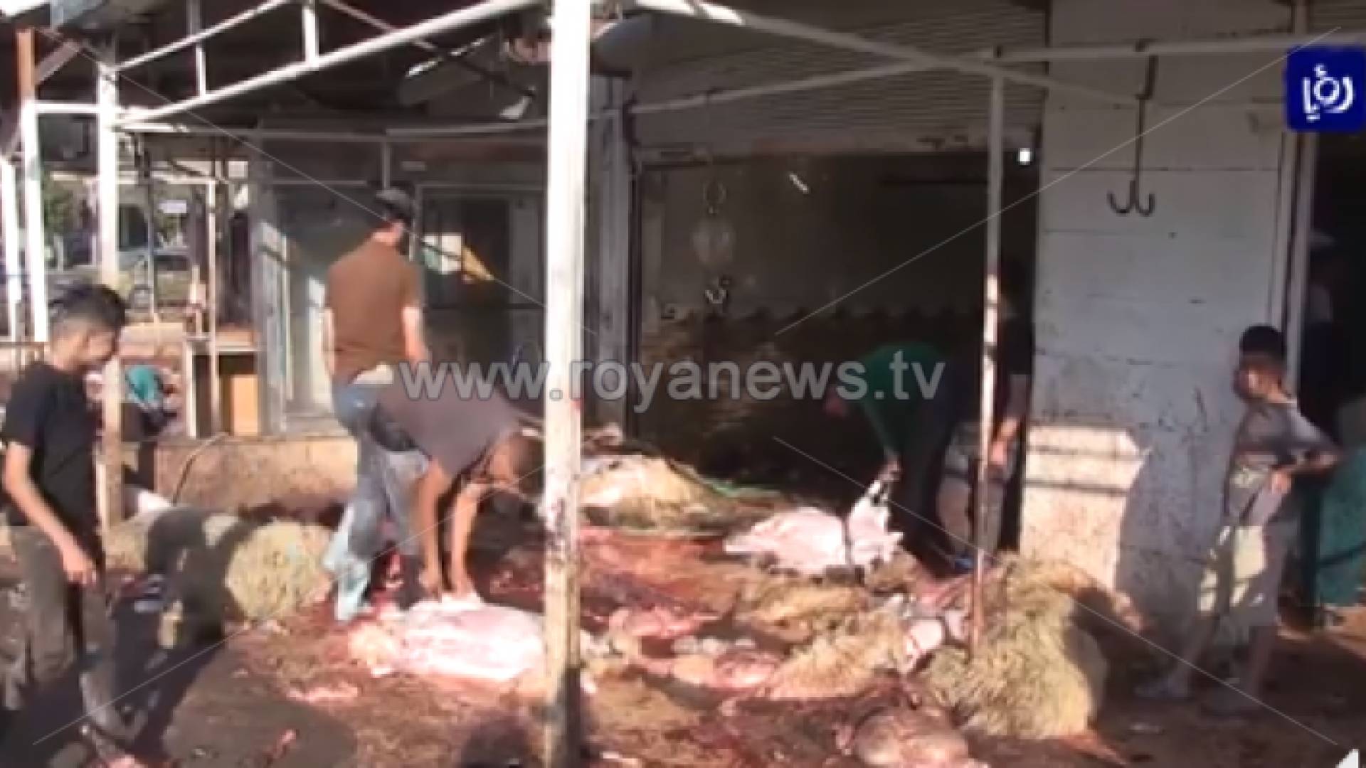 مواطنون وتجار في اربد يشكون غياب البلدية عن مواقع حظائر بيع الأضاحي