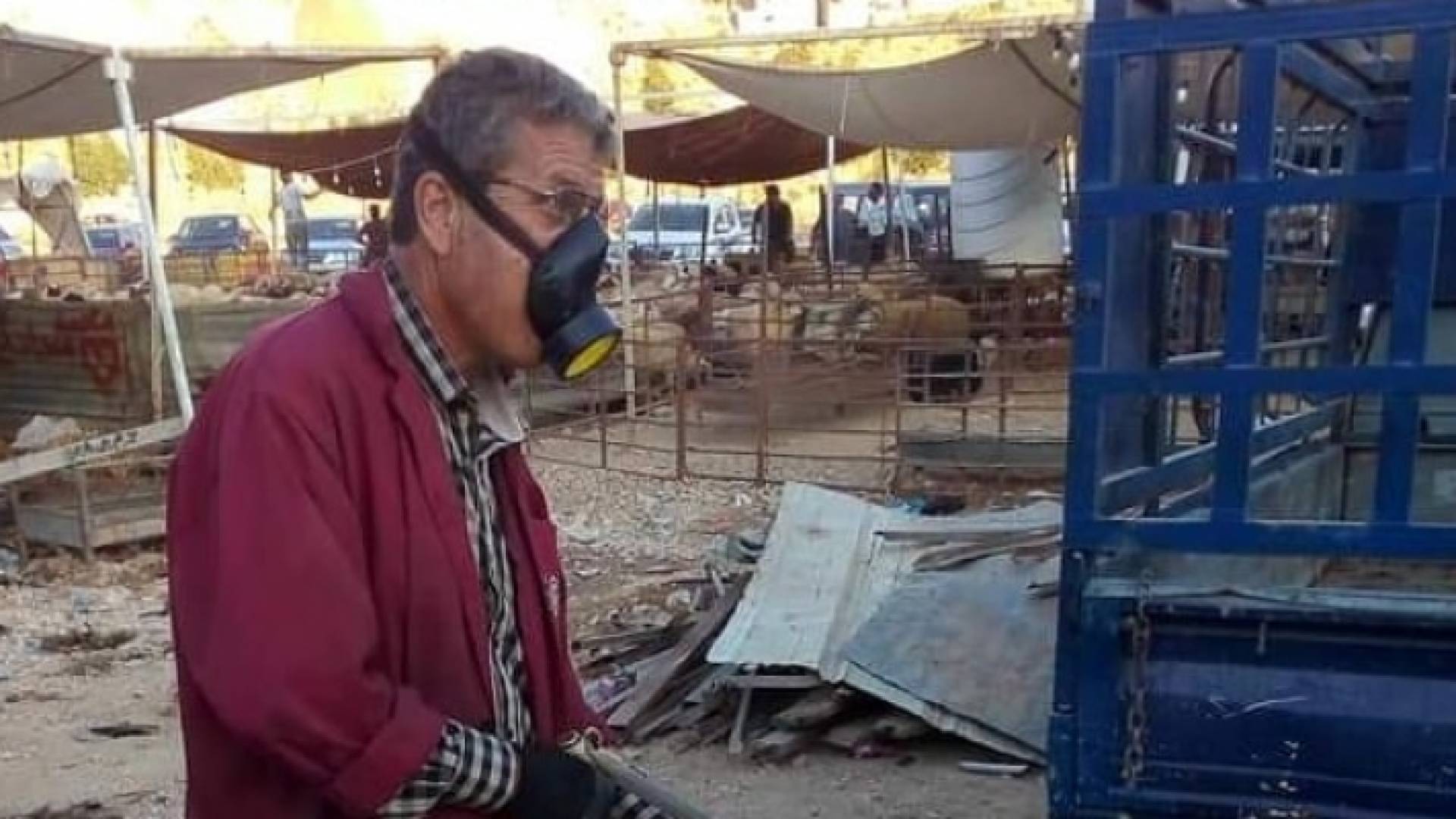 أمانة عمان تواصل عمليات الرش والتعقيم لمواقع الاضاحي