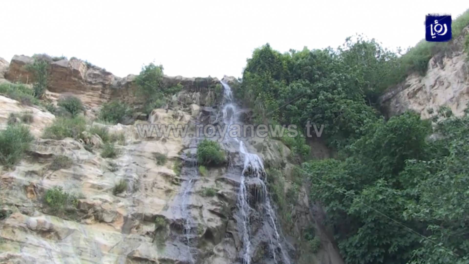 الصورة من الفيديو