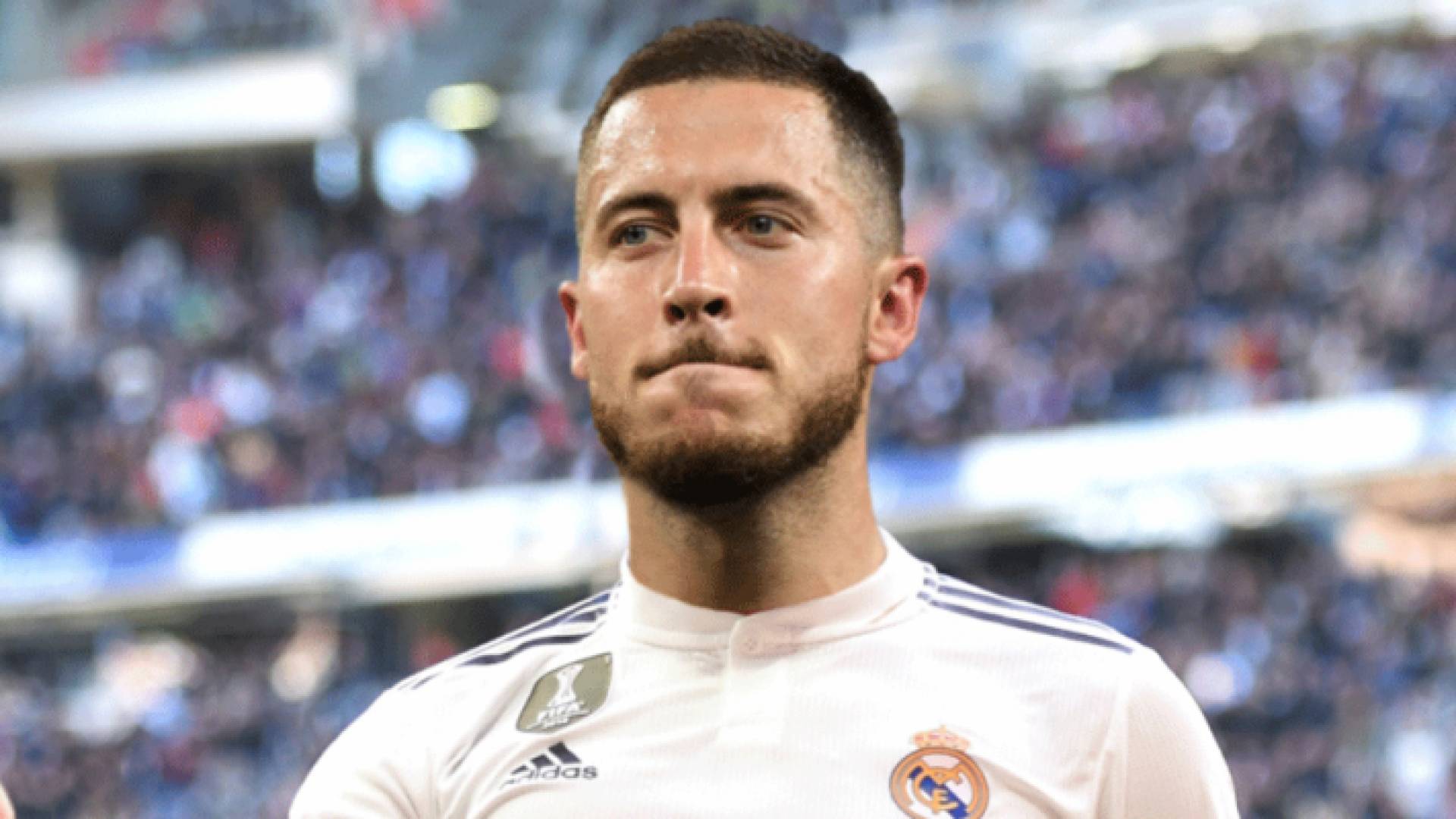 البلجيكي ادين هازار