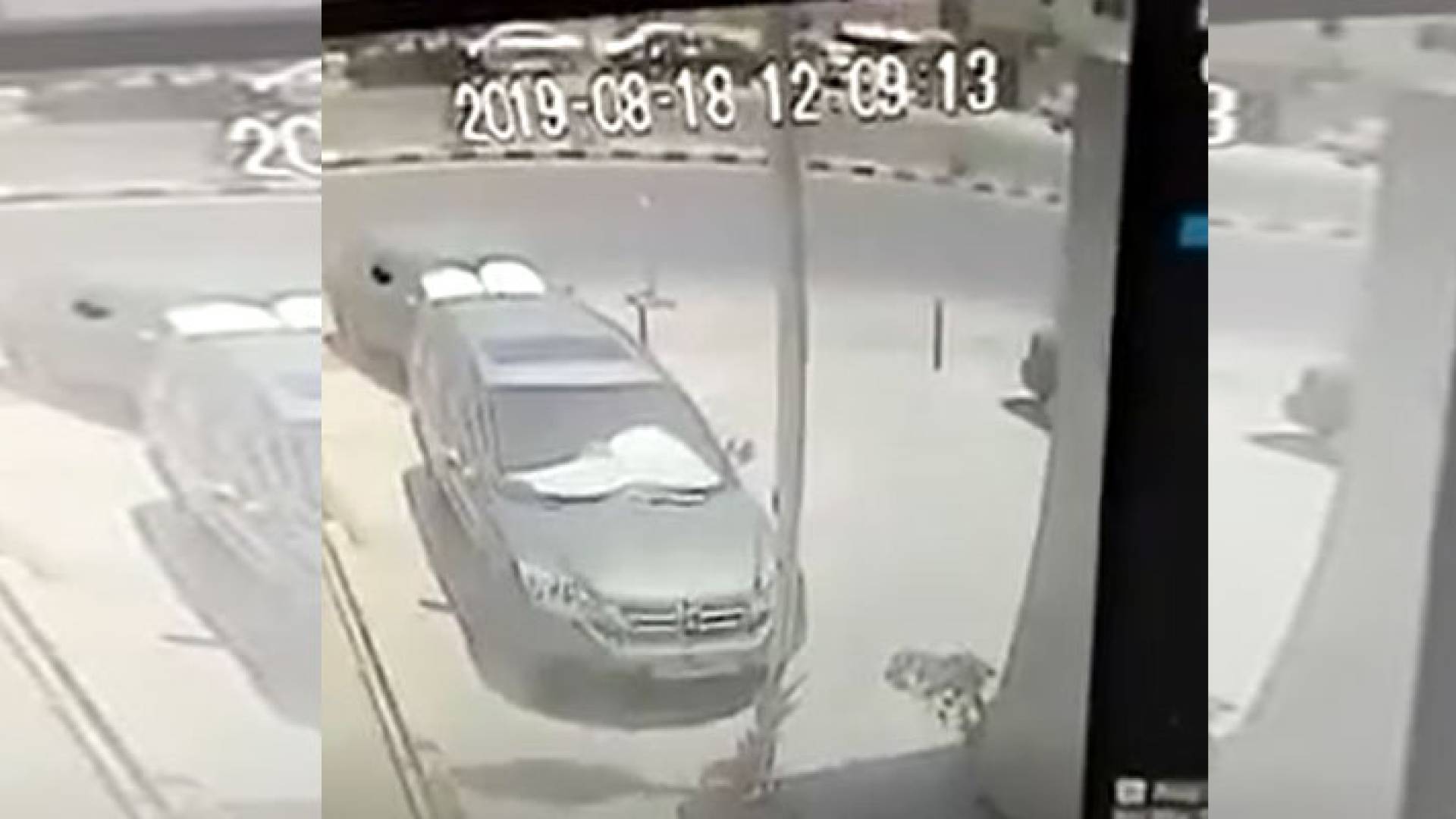 الصورة من الفيديو