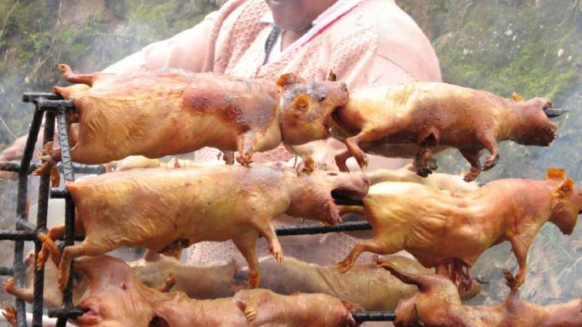 فئران مشوية