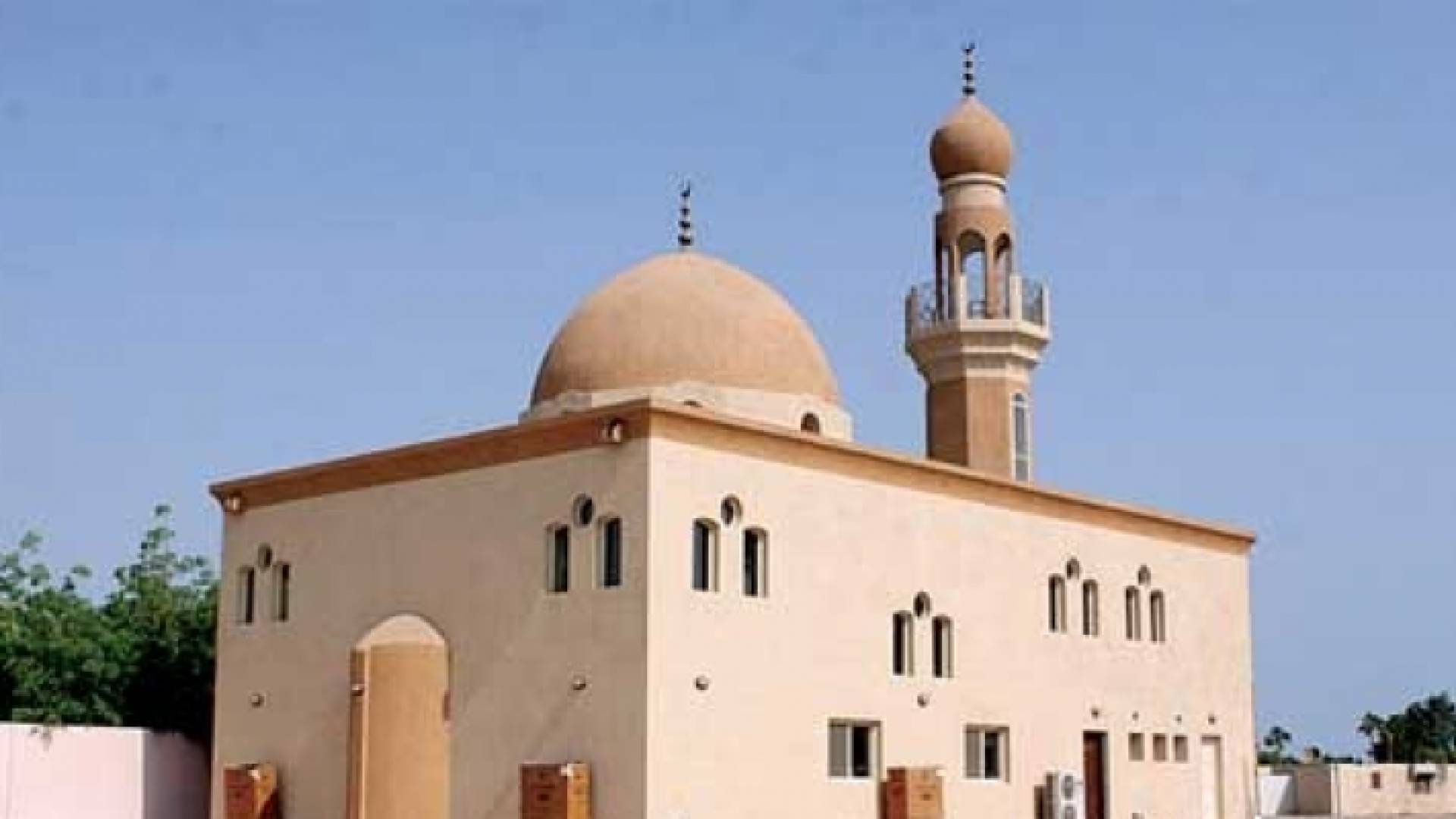 ارشيفية