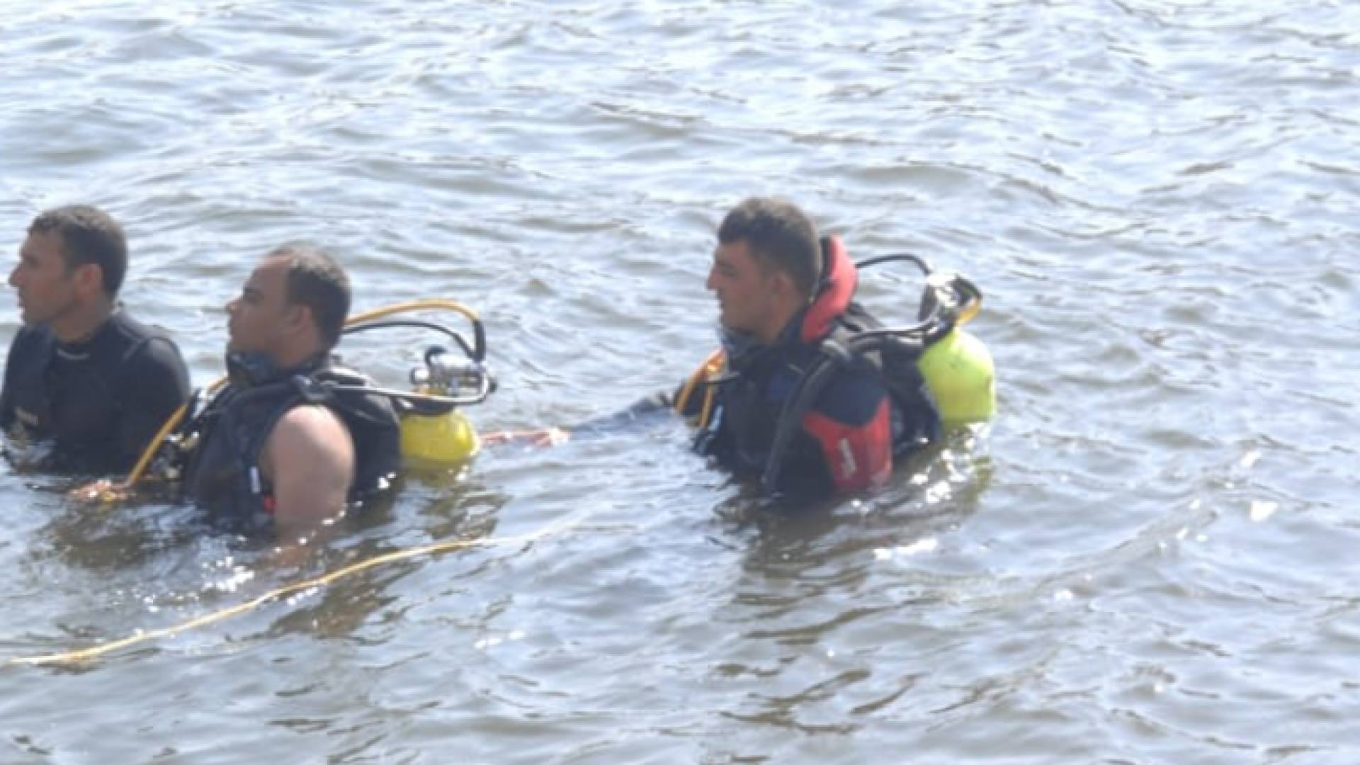 من عمليات البحث