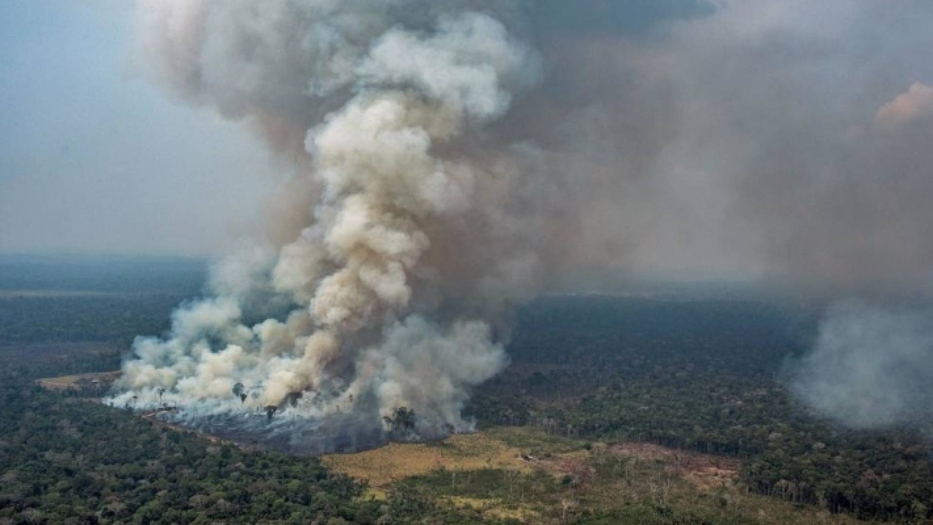 الحرائق في غابات الأمازون