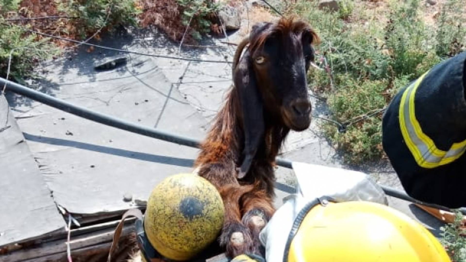 من عمليت الانقاذ - الدفاع المدني