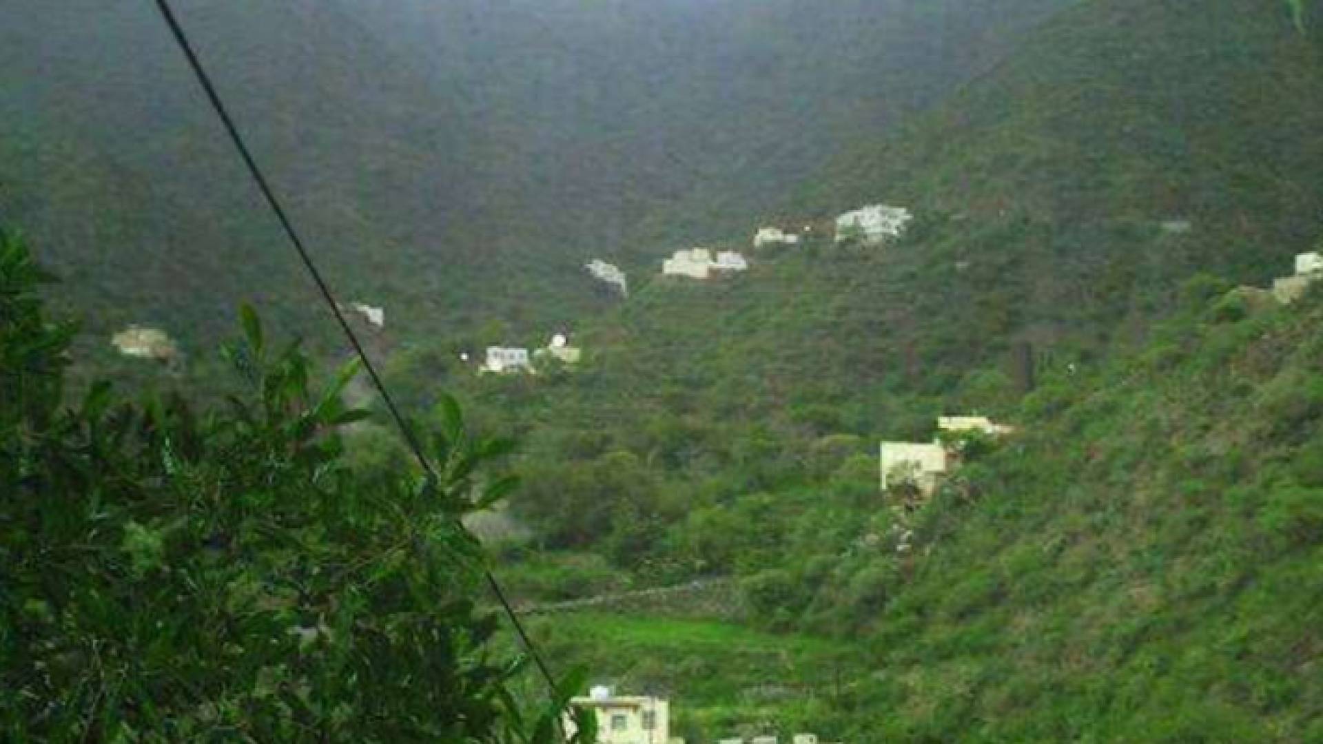 غابة فائقة الجمال موجودة في بلد عربي يعد أكثر بقاع الأرض جفافا