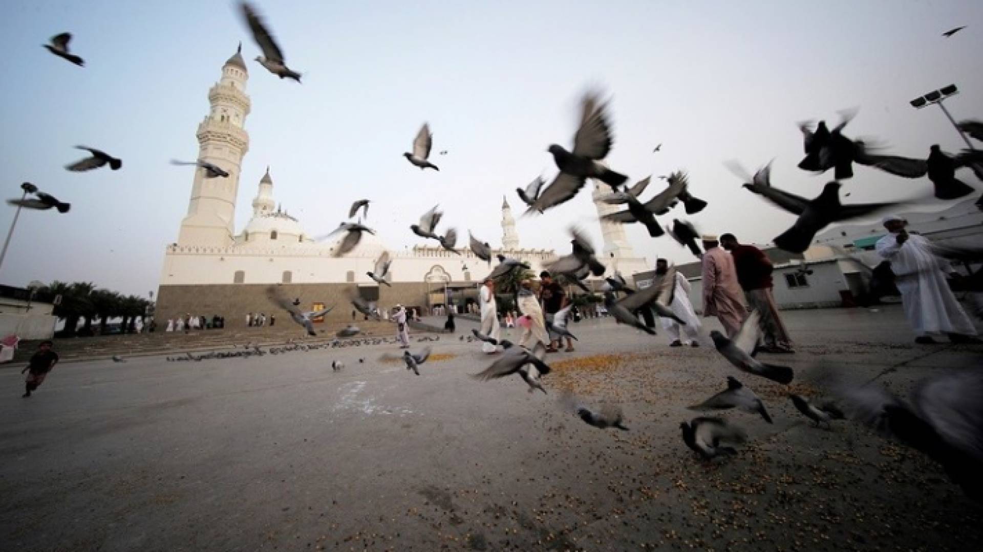 مسجد بالسعودية - أرشيف