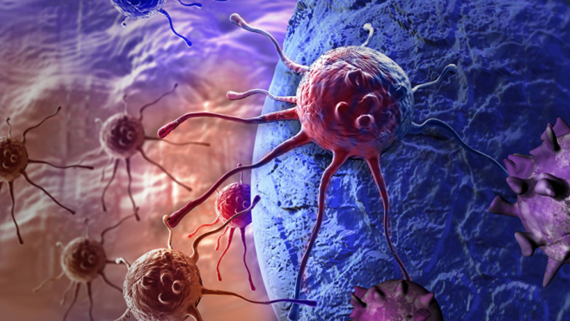 خلايا سرطات