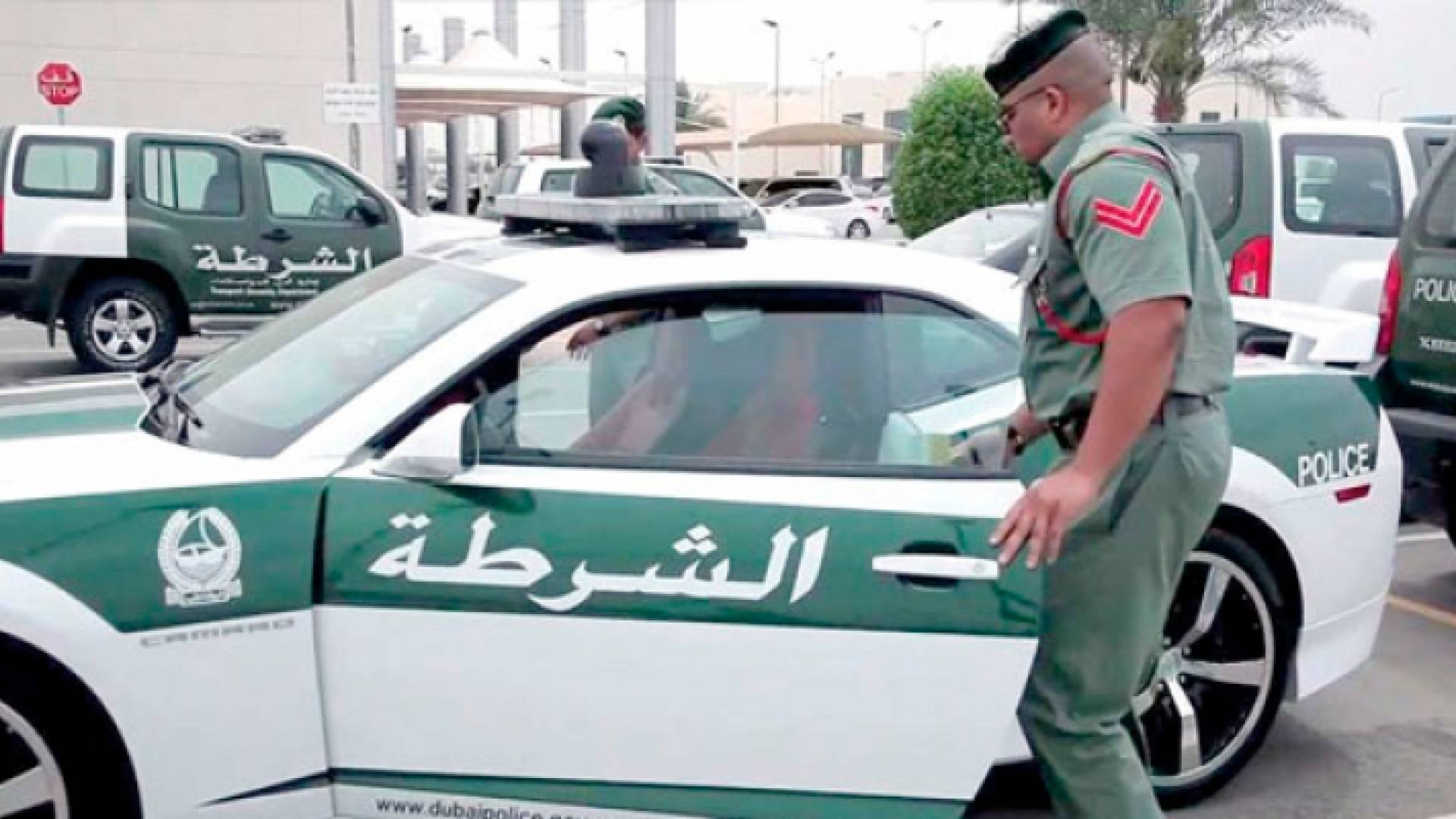 الصورة أرشيفية