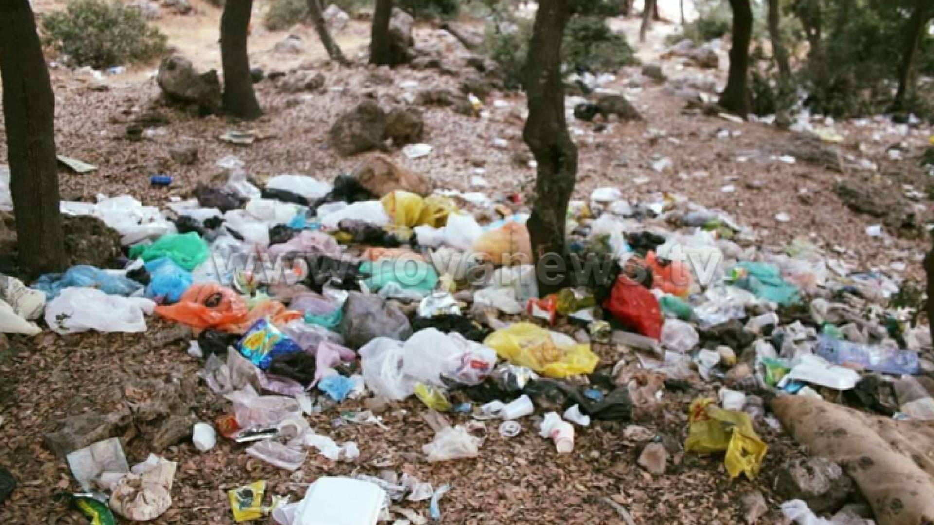 من منطقة اشتفينا في عجلون