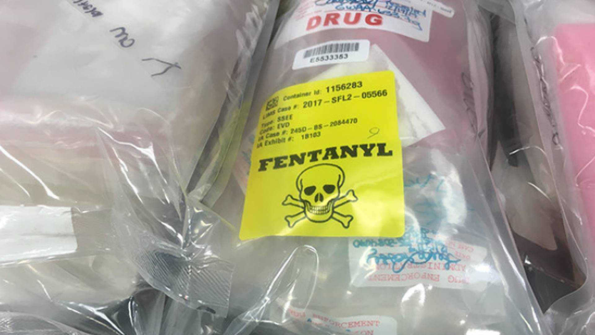 ضبط عصابة بحوزتها مخدرات لقتل 14 مليون شخص