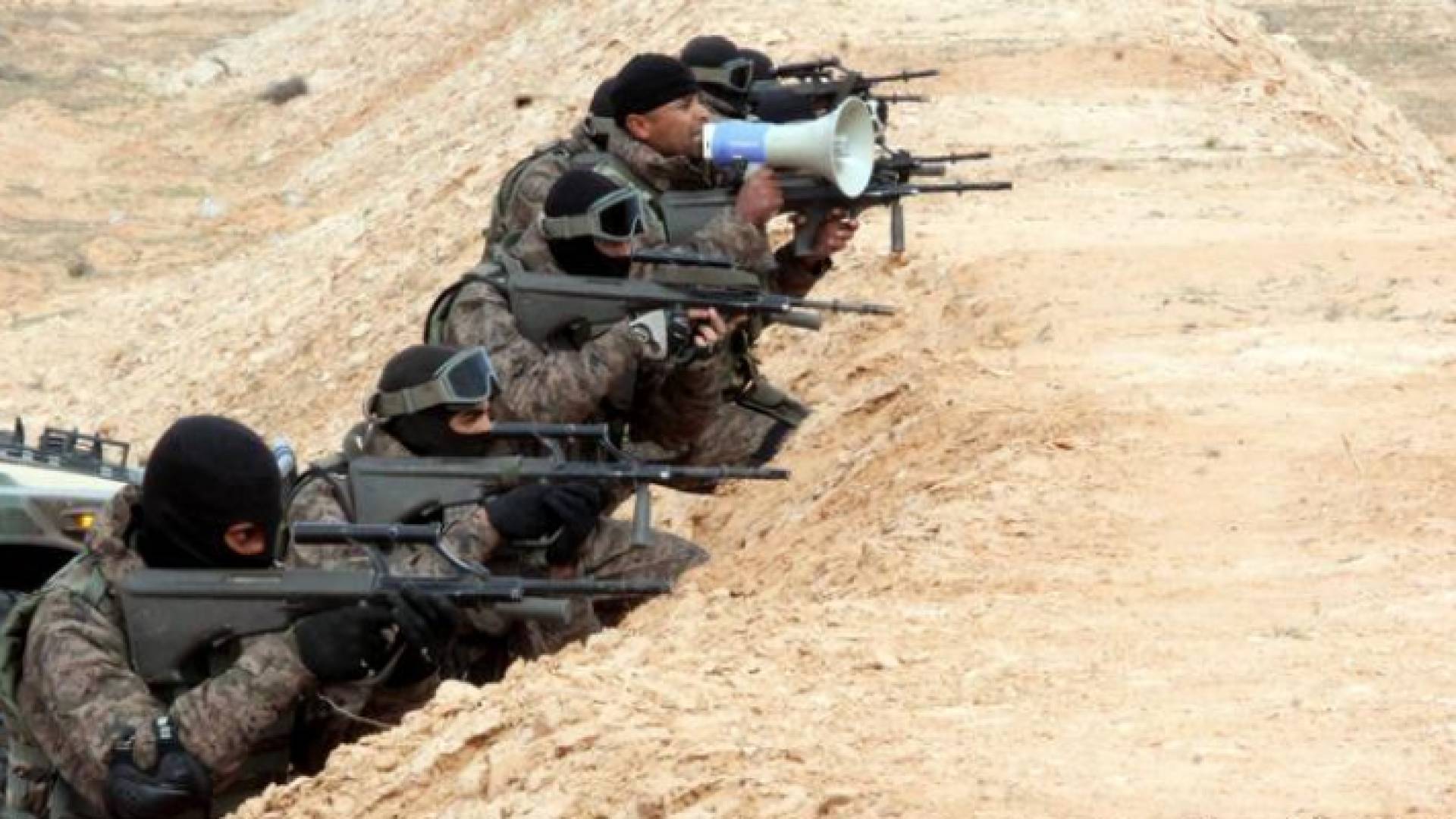 ارشيفية