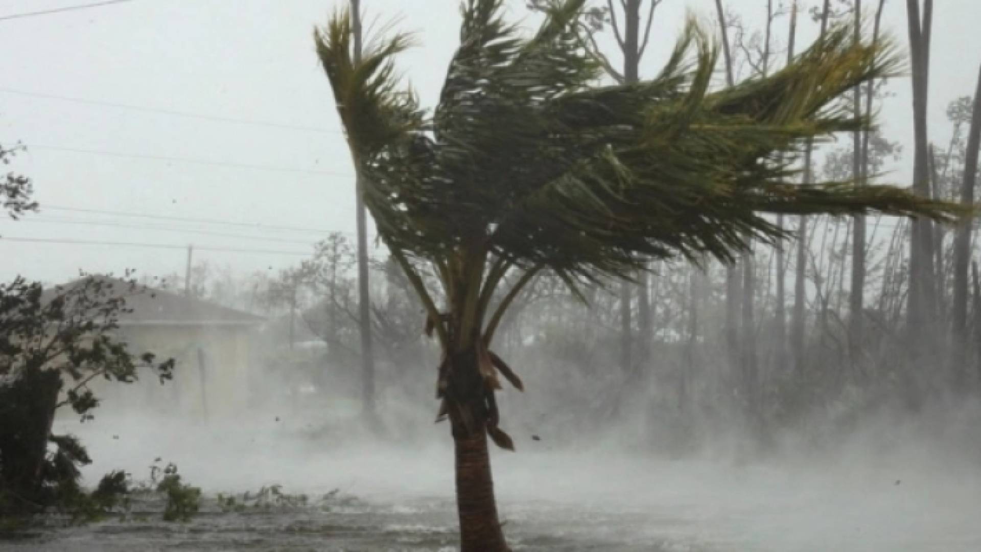 الإعصار دوريان