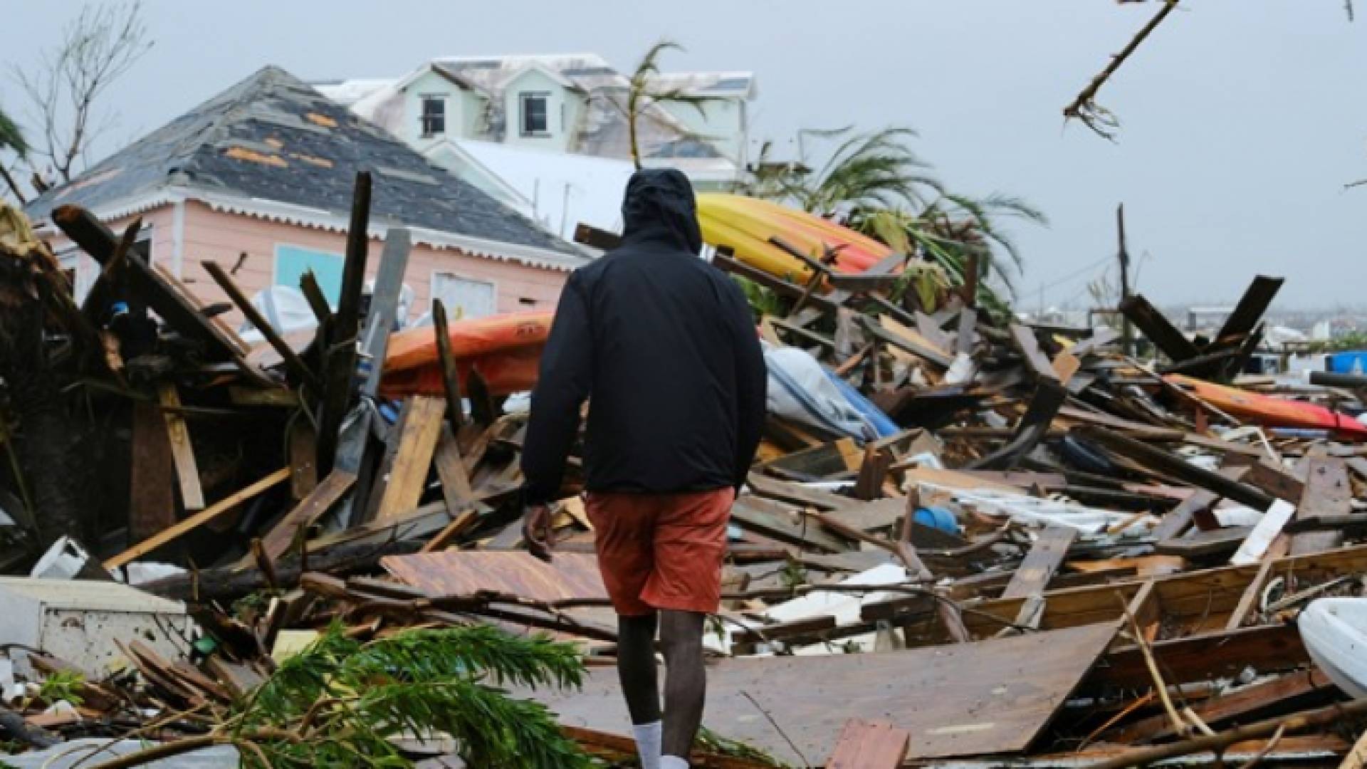 يتوقع أن ترتفع الحصيلة بشكل كبير