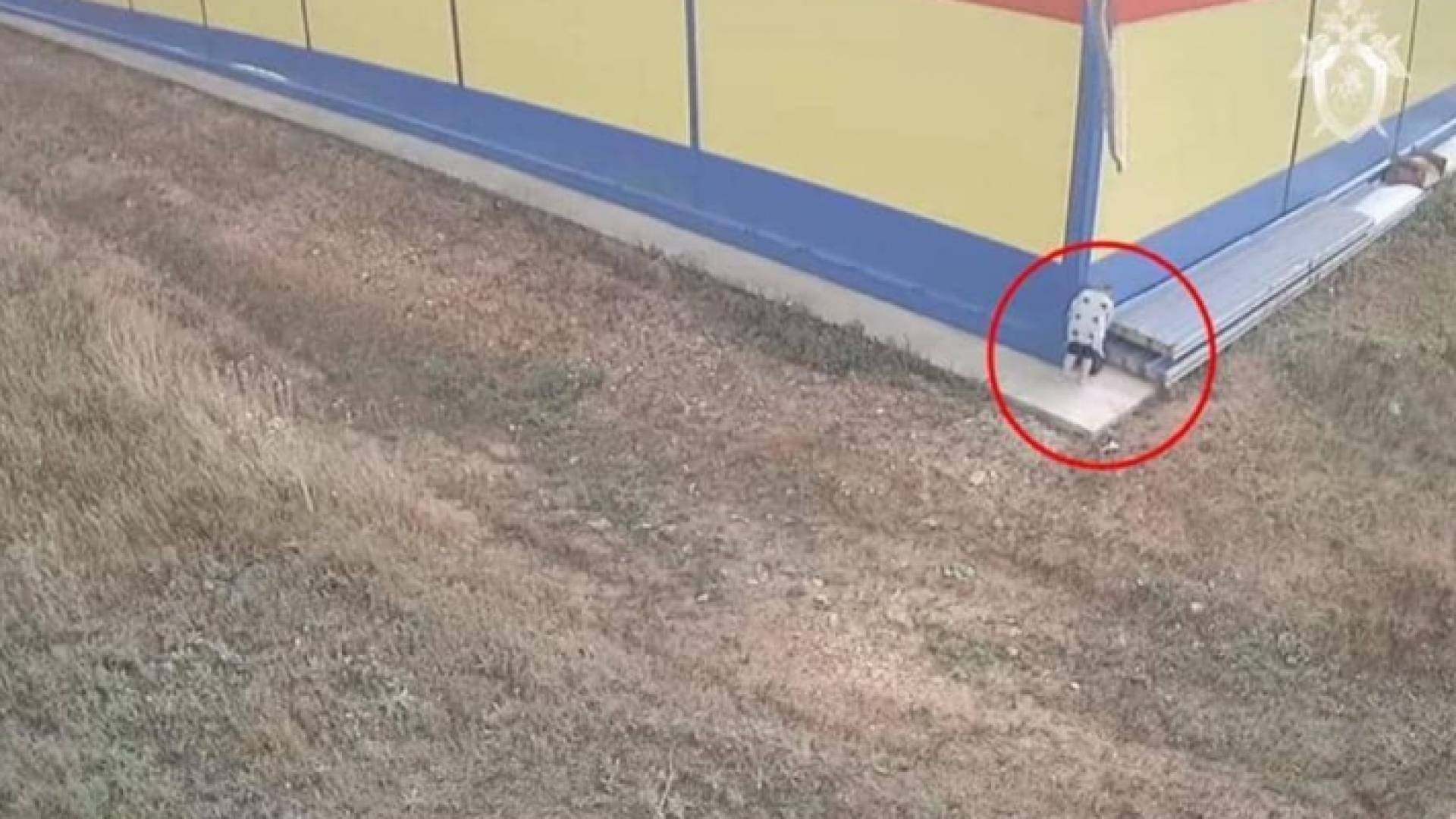 الصورة من الفيديو