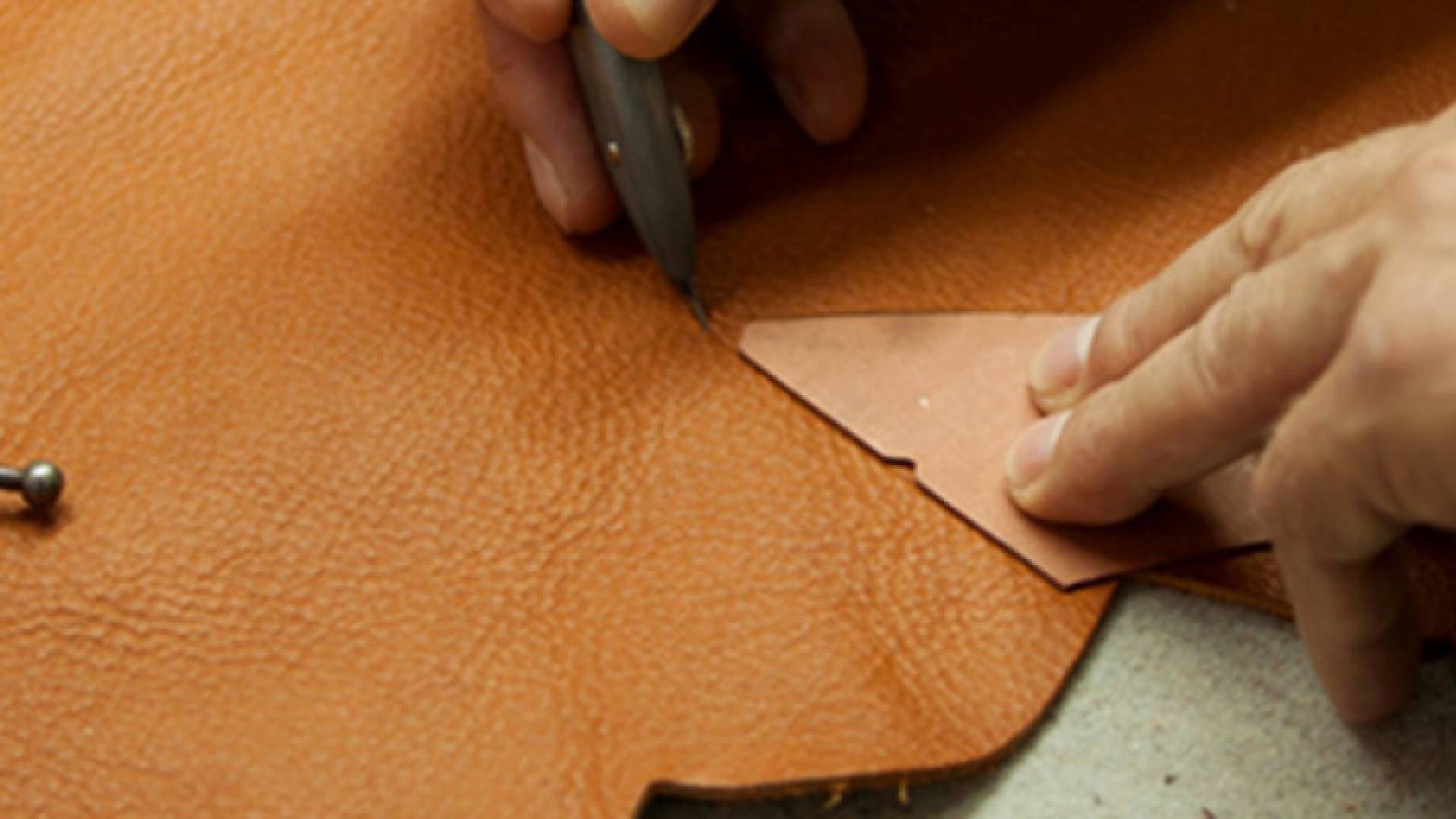 قطاع الصناعات الجلدية - ارشيفية