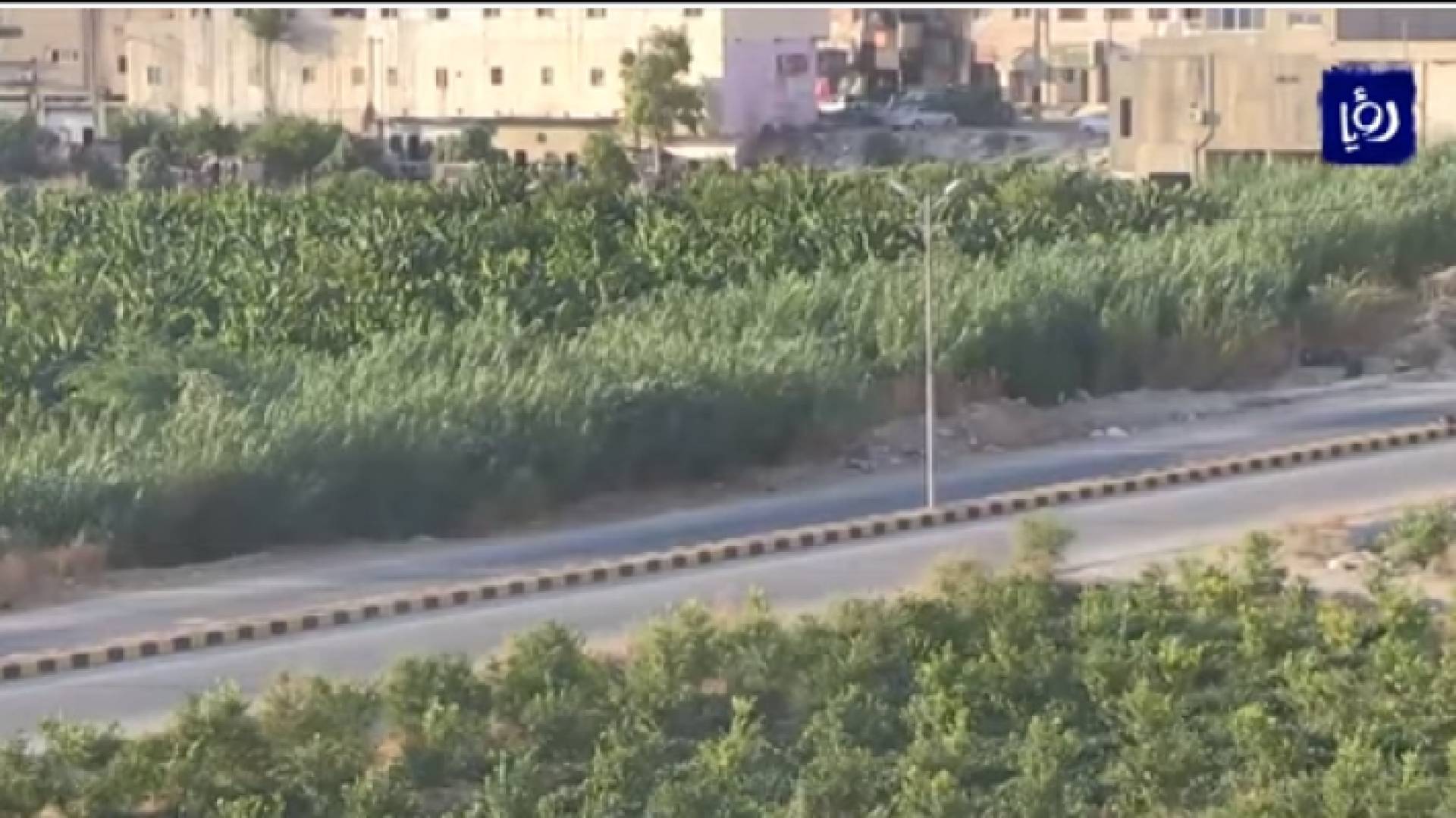 مزارع في الغور - ارشيفية