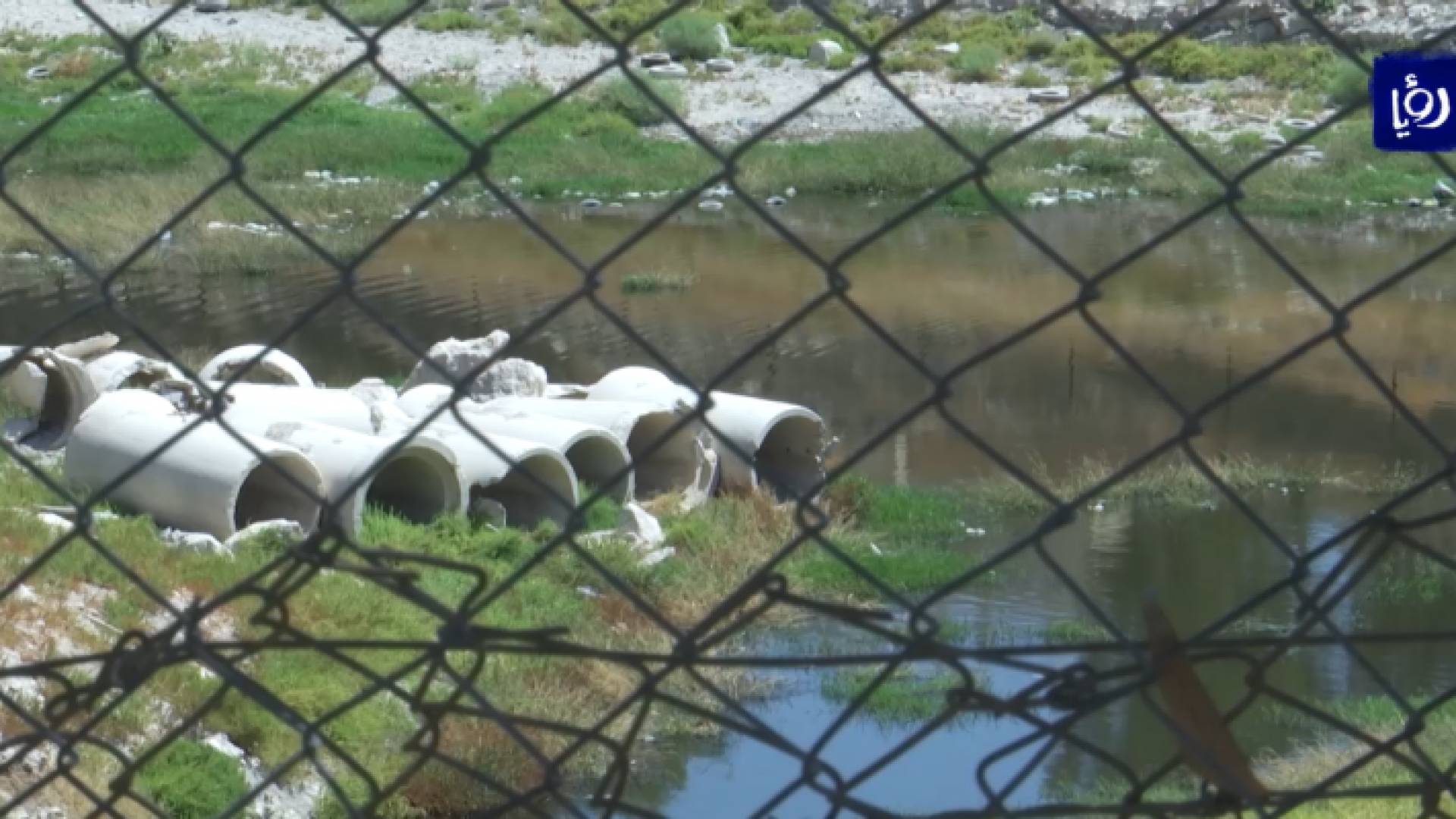 الصورة من الفيديو