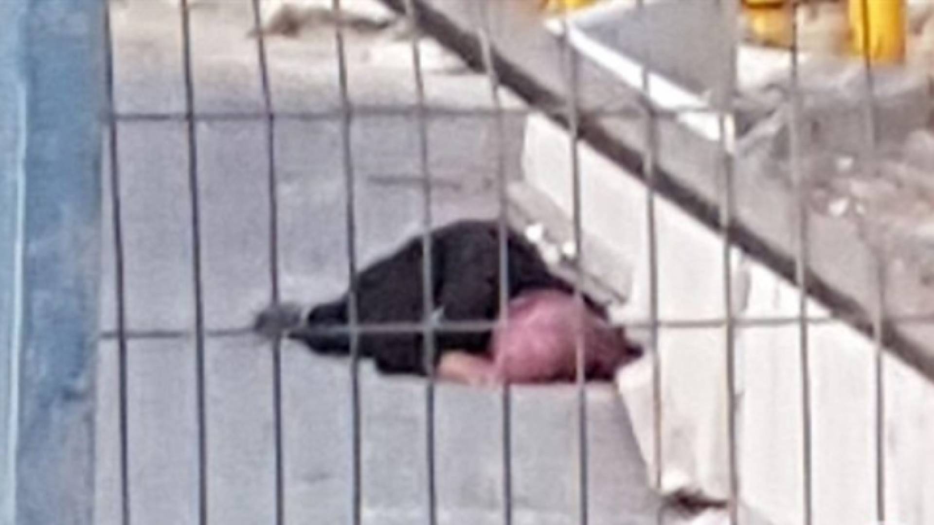 الصورة من الفيديو