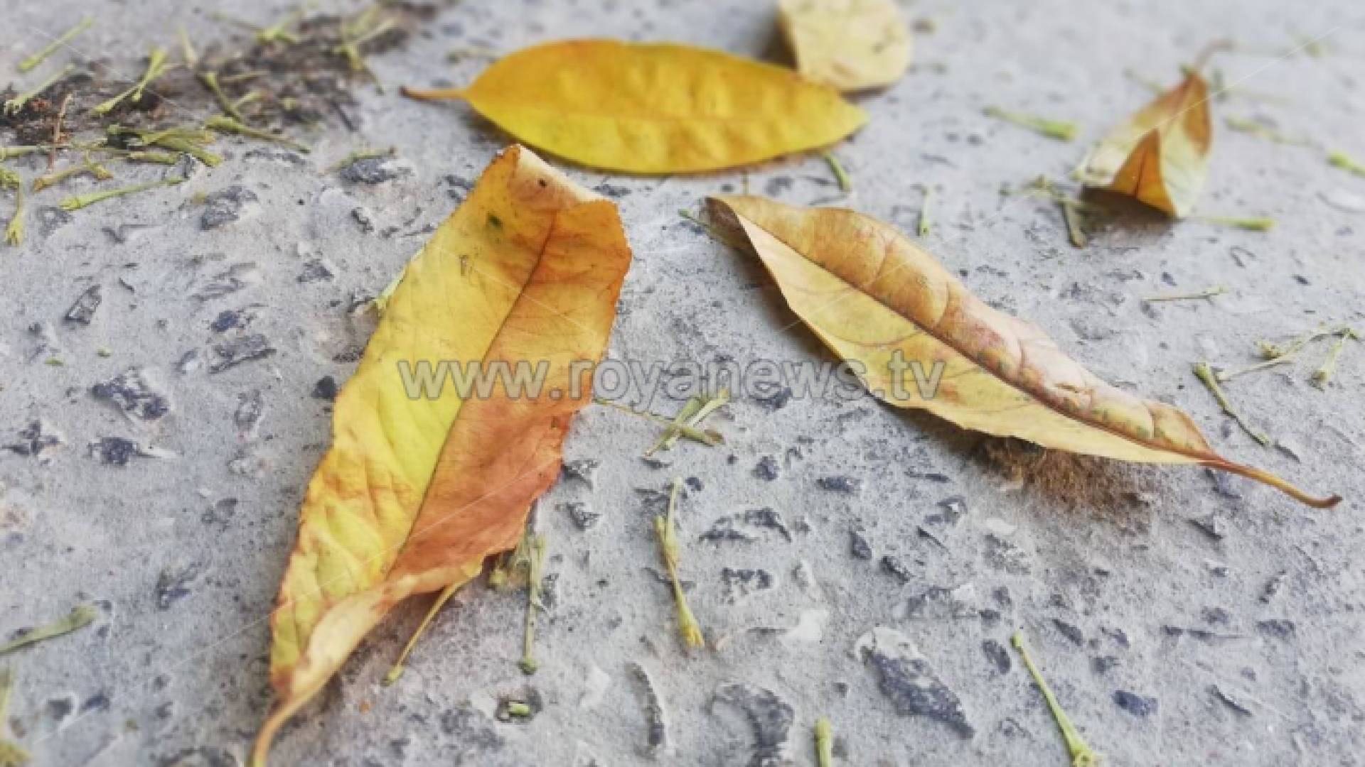 يتميز فصل الخريف بكثرة التقلبات الجوية