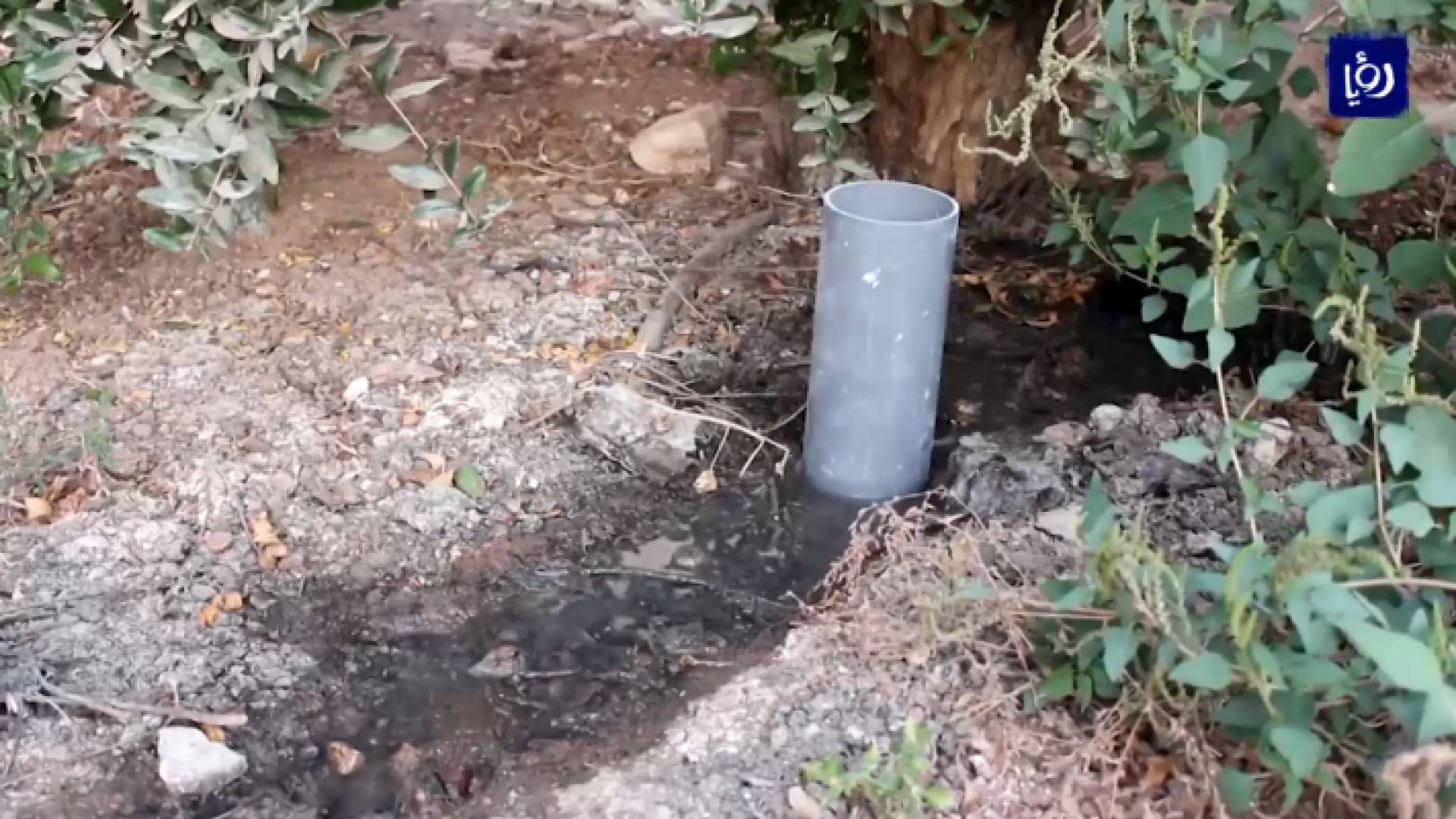 الصورة من الفيديو