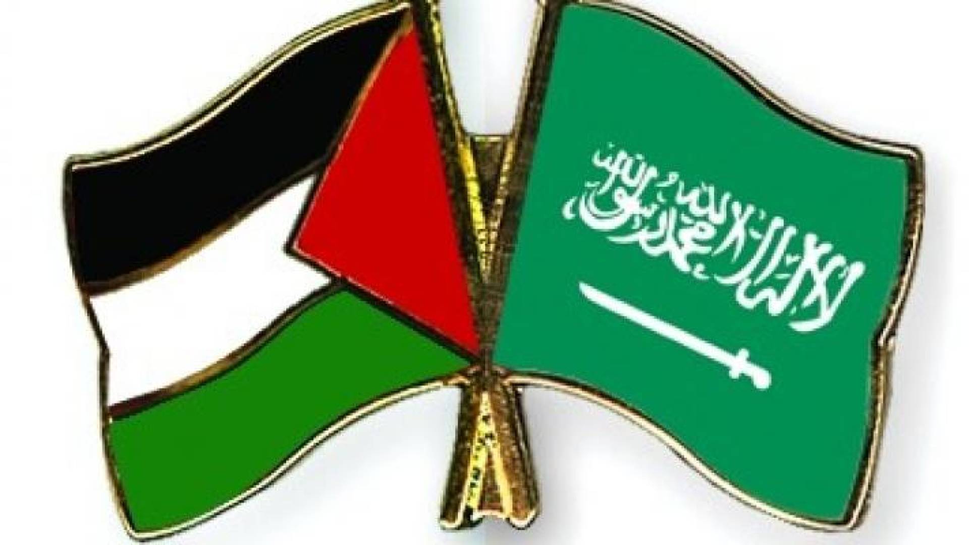 علم السعودية وفلسطين