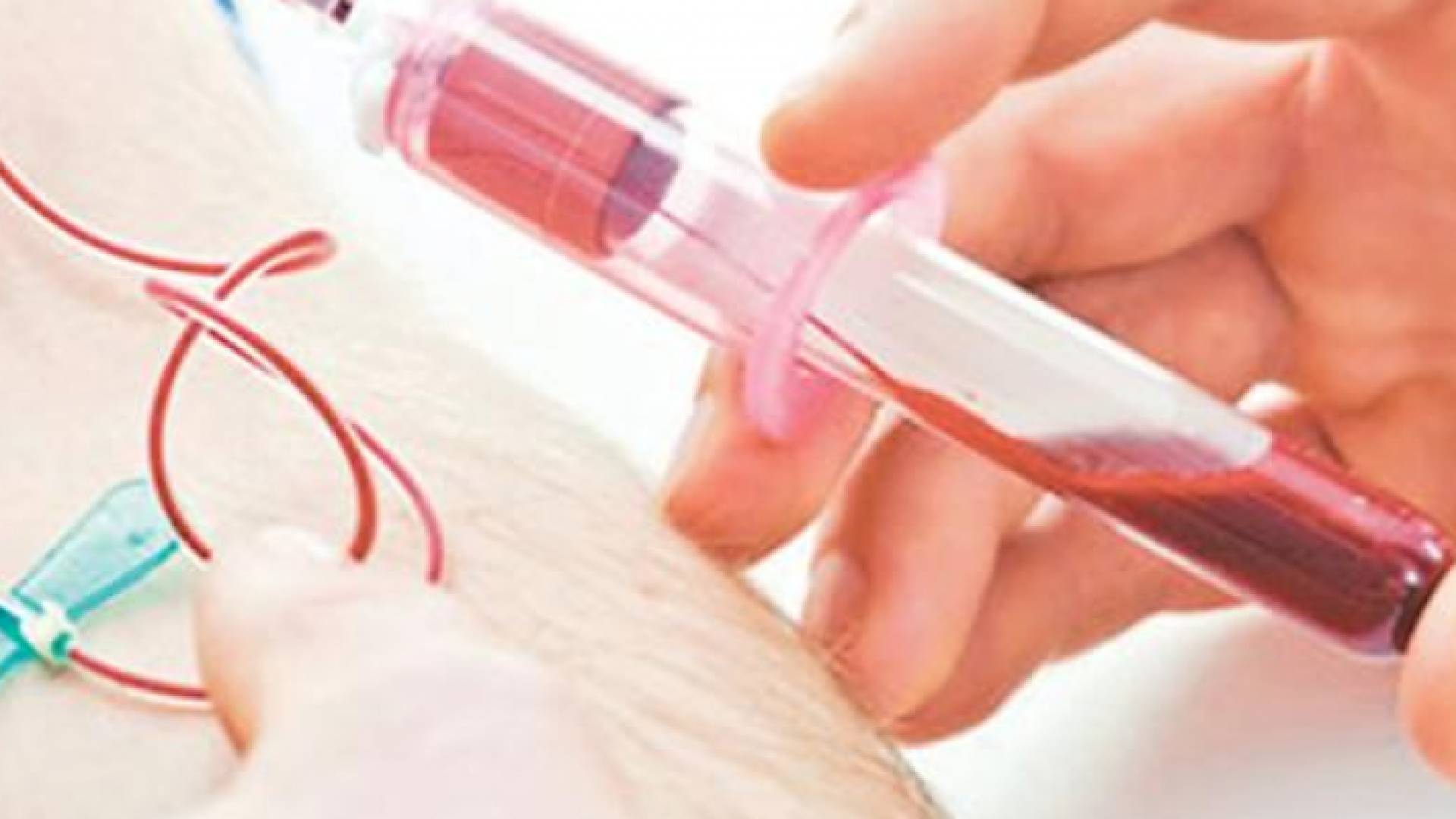 تظهر النتائج في أقل من 24 ساعة