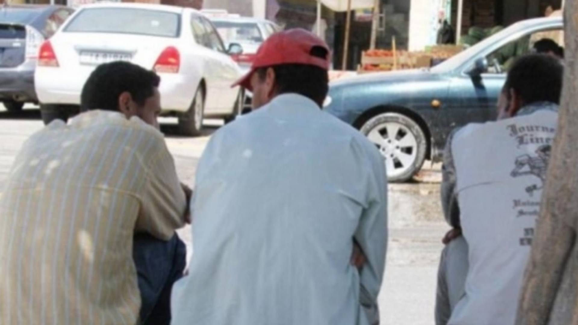 ارشيفية