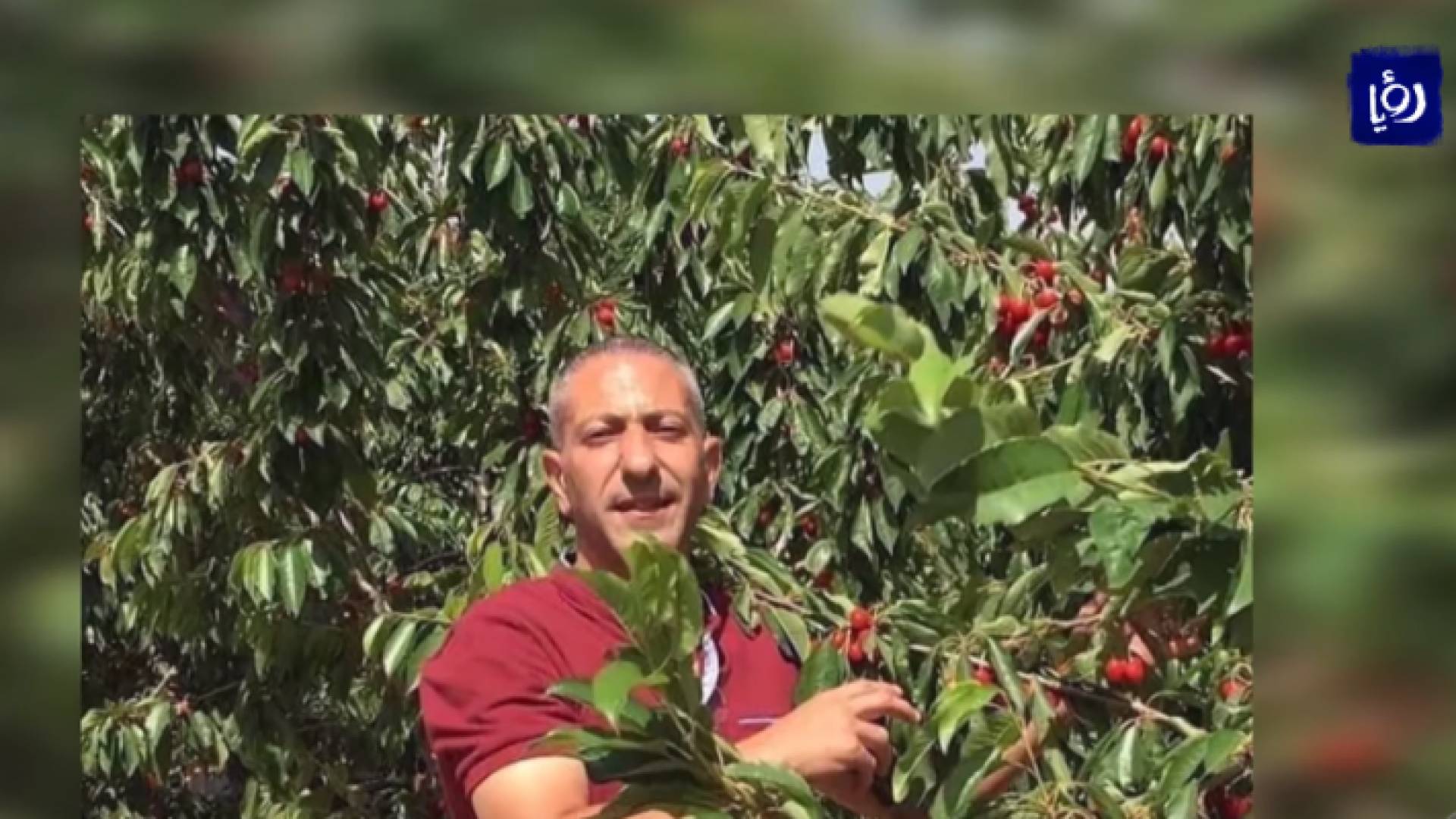 الصورة من الفيديو