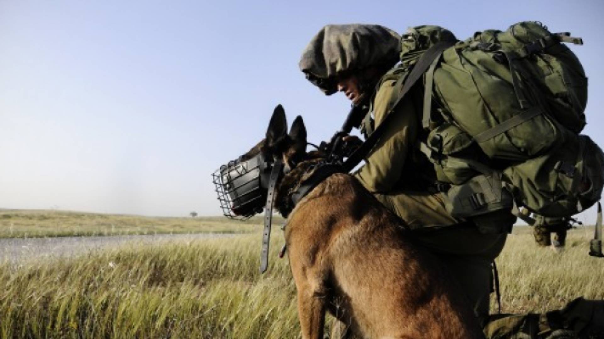 قوات الاحتلال شرعت في البحث عن المستوطنة المفقودة